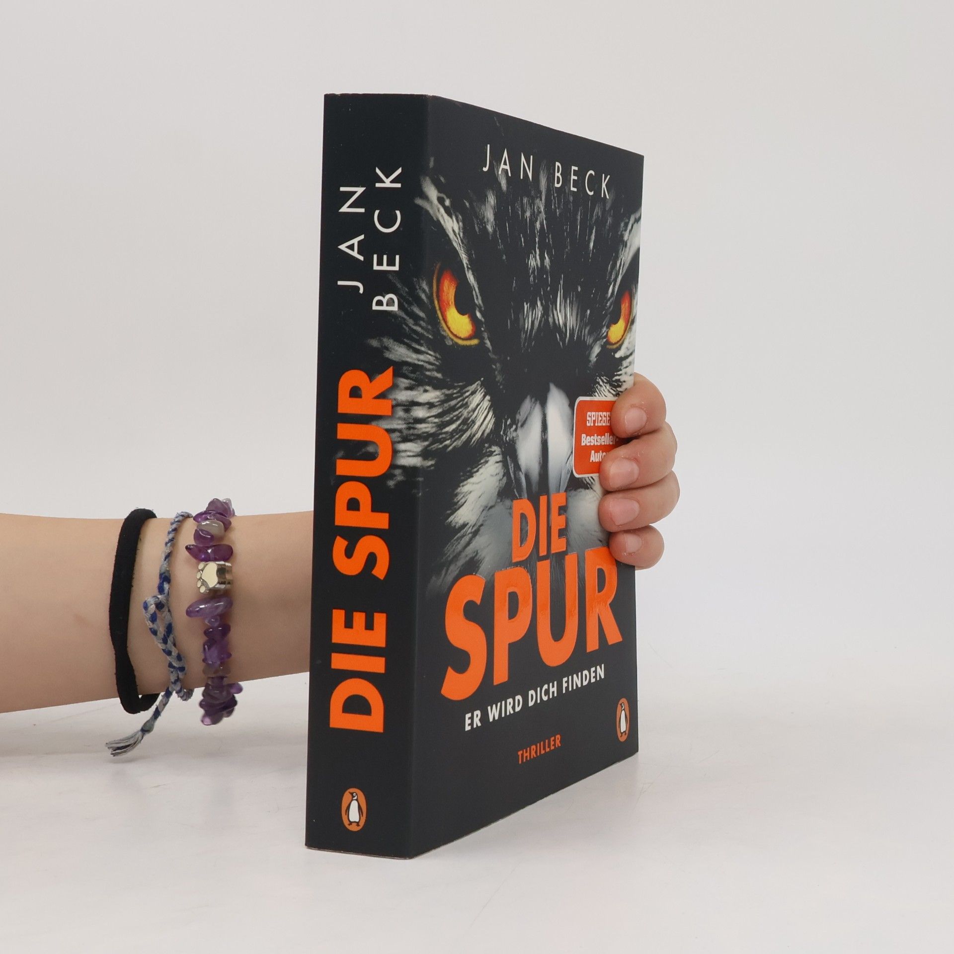 Jan Beck Die Spur. Er wird dich finden