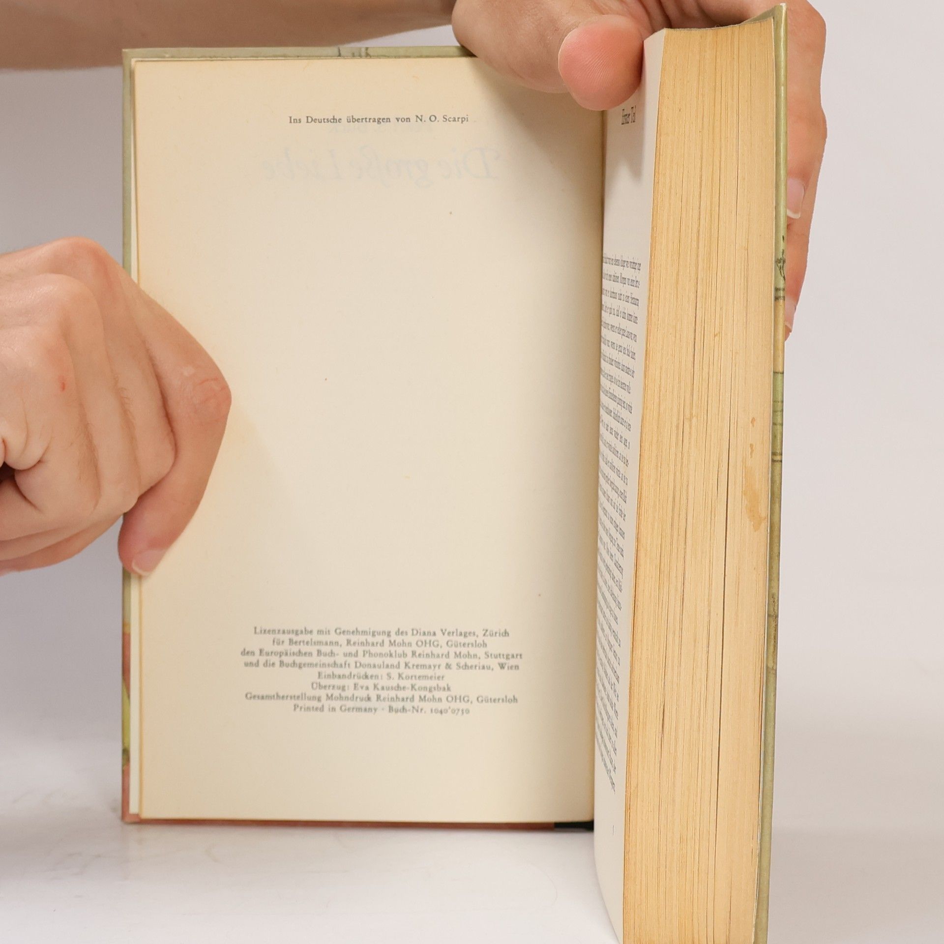 Pearl S. Buck Die große Liebe