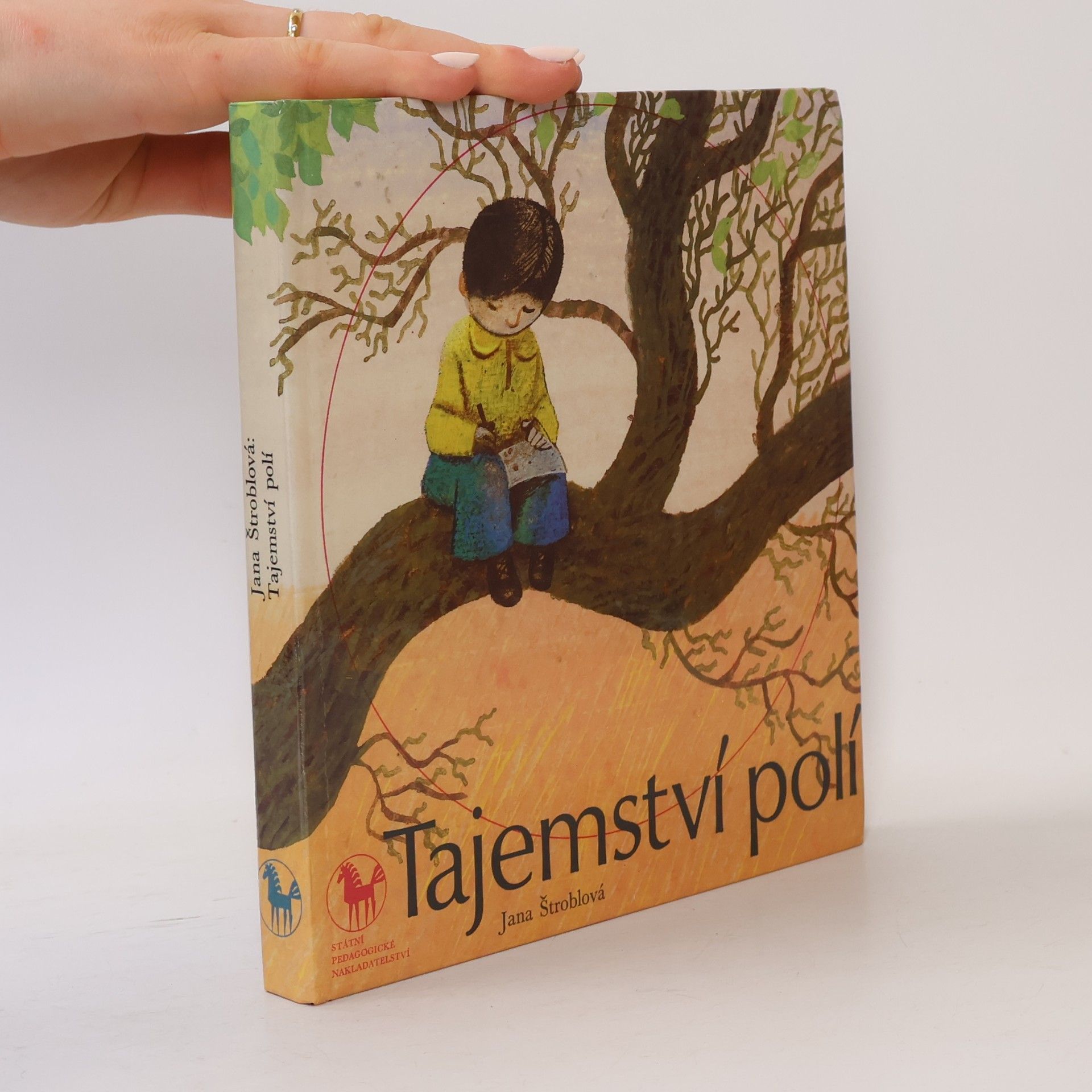 Tajemství polí