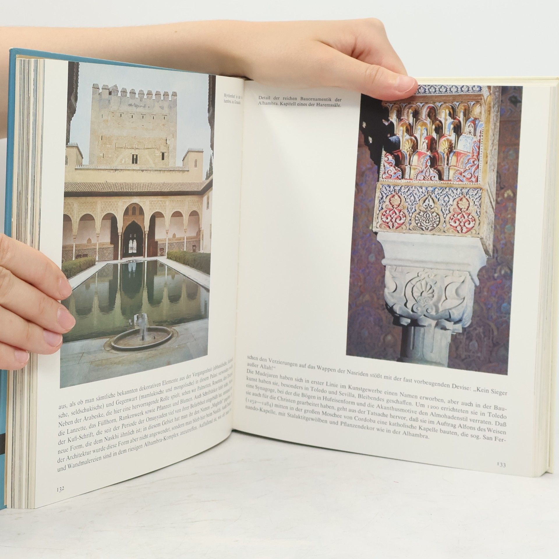 Carel J. Du Ry Kunst im Bild. Die Welt des Islam