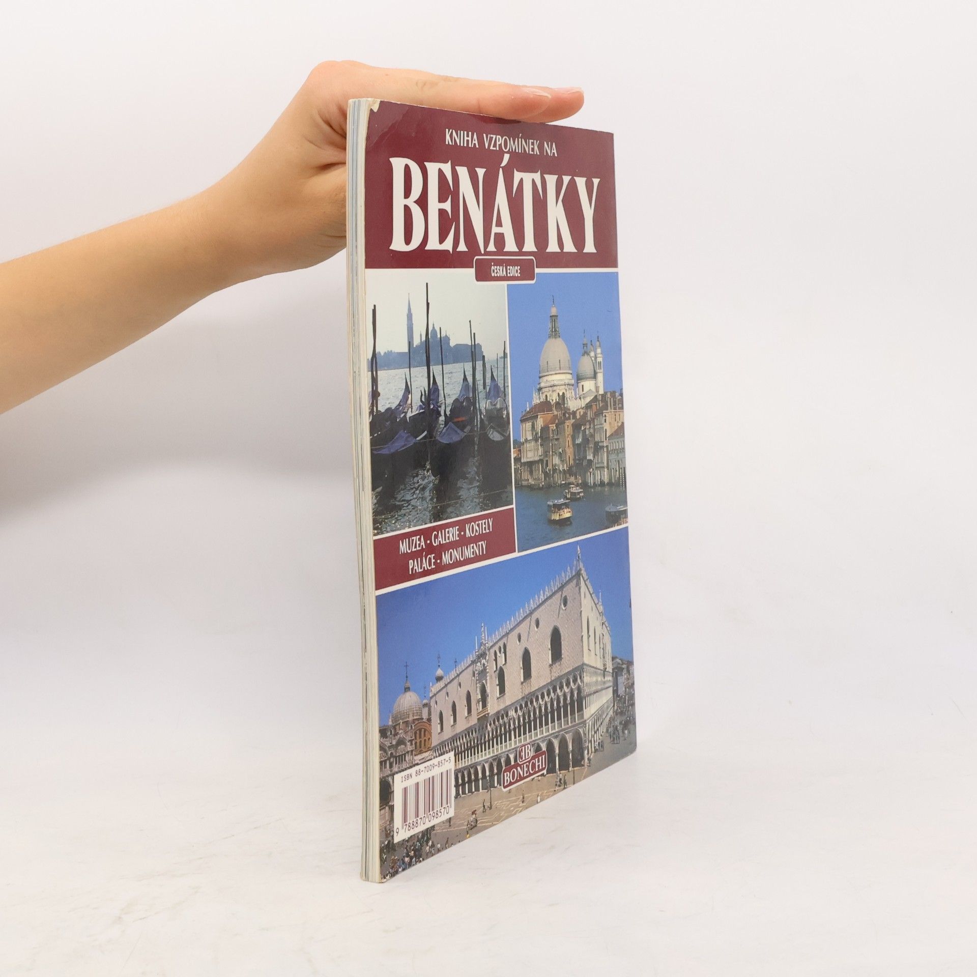 Františka Lopatová Senesi Kniha vzpomínek na Benátky