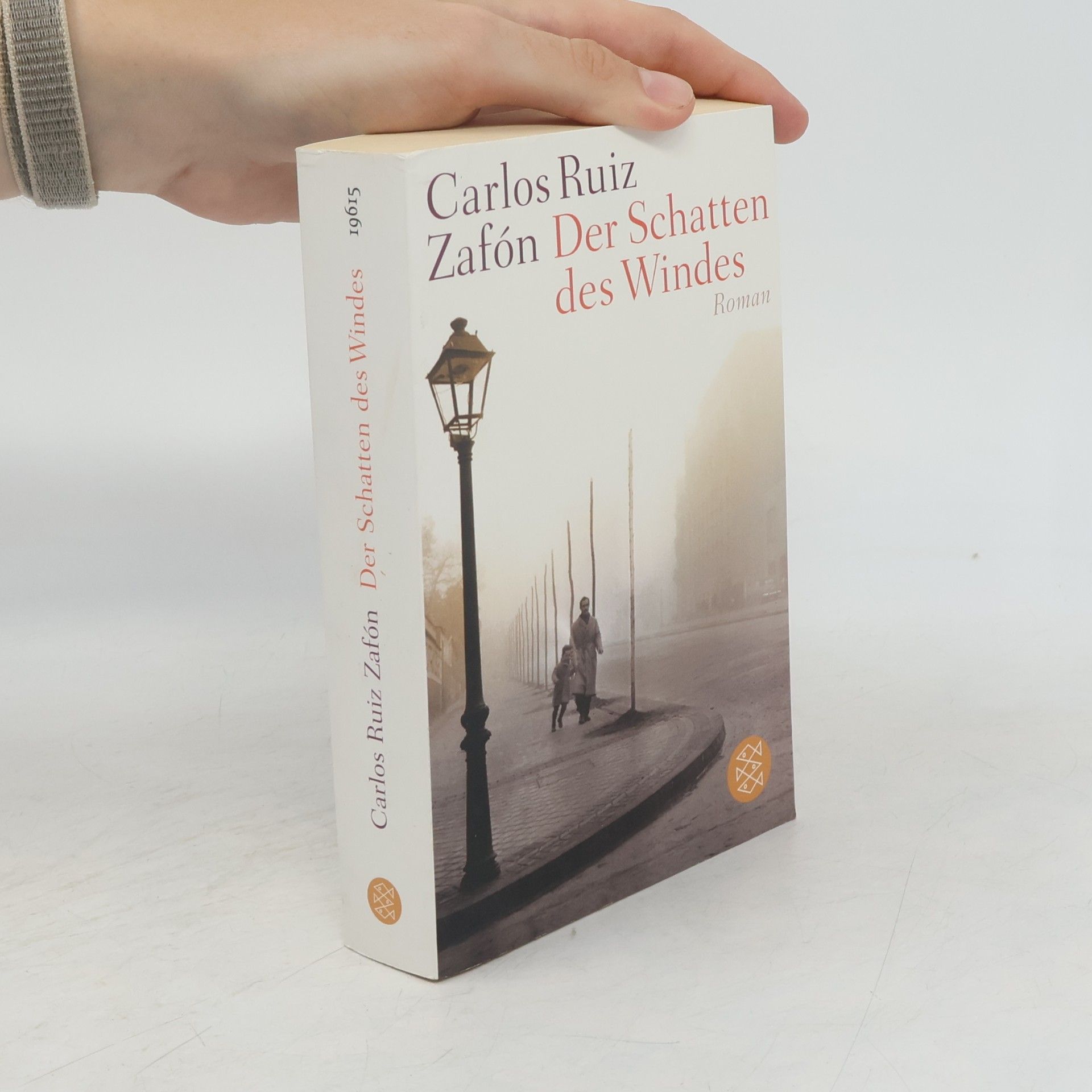Carlos Ruiz Safon Der Schatten des Windes