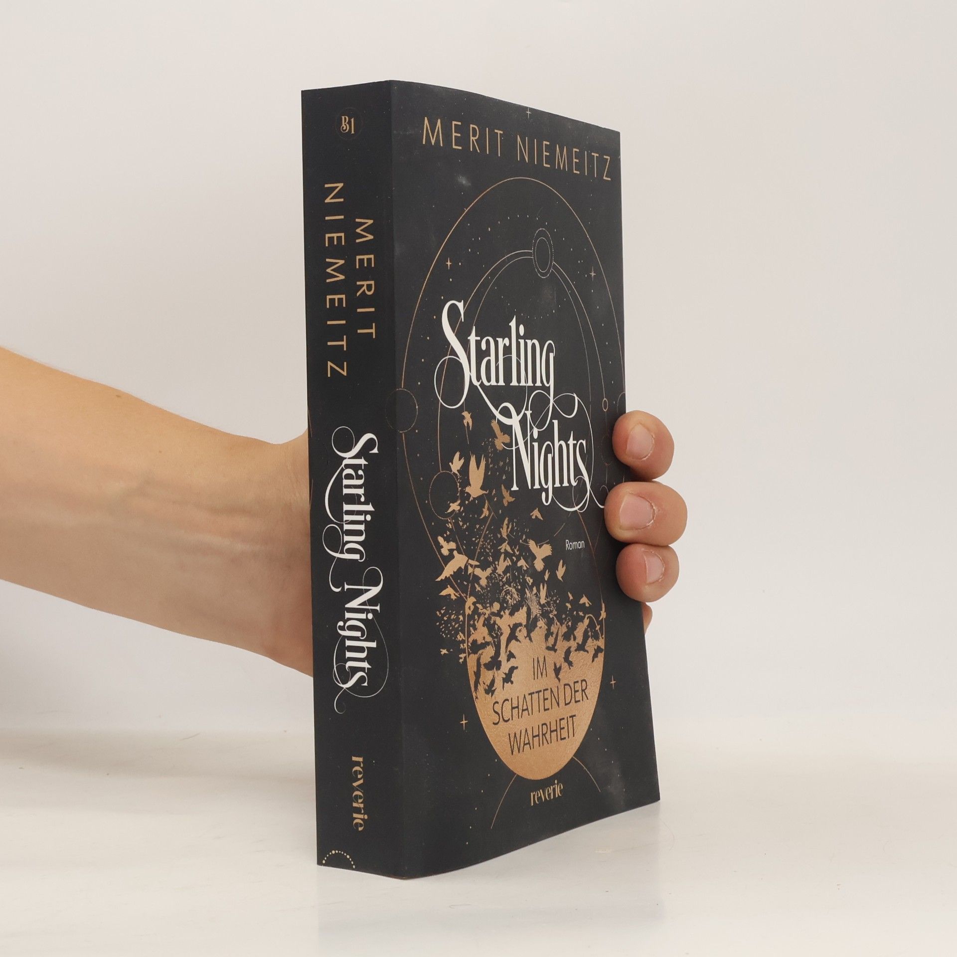 Merit Niemeitz Starling Nights 1