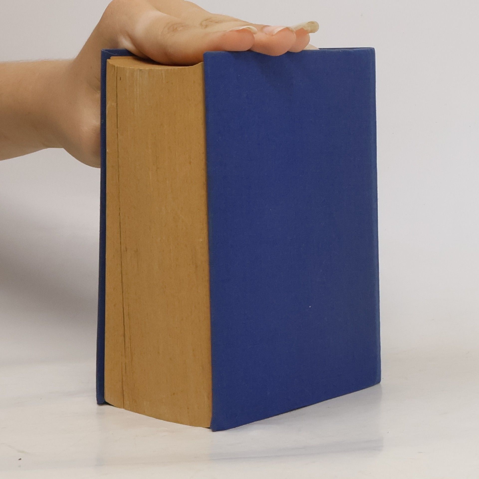 Hans Magnus Enzensberger Kursbuch II 1968 bis 1970