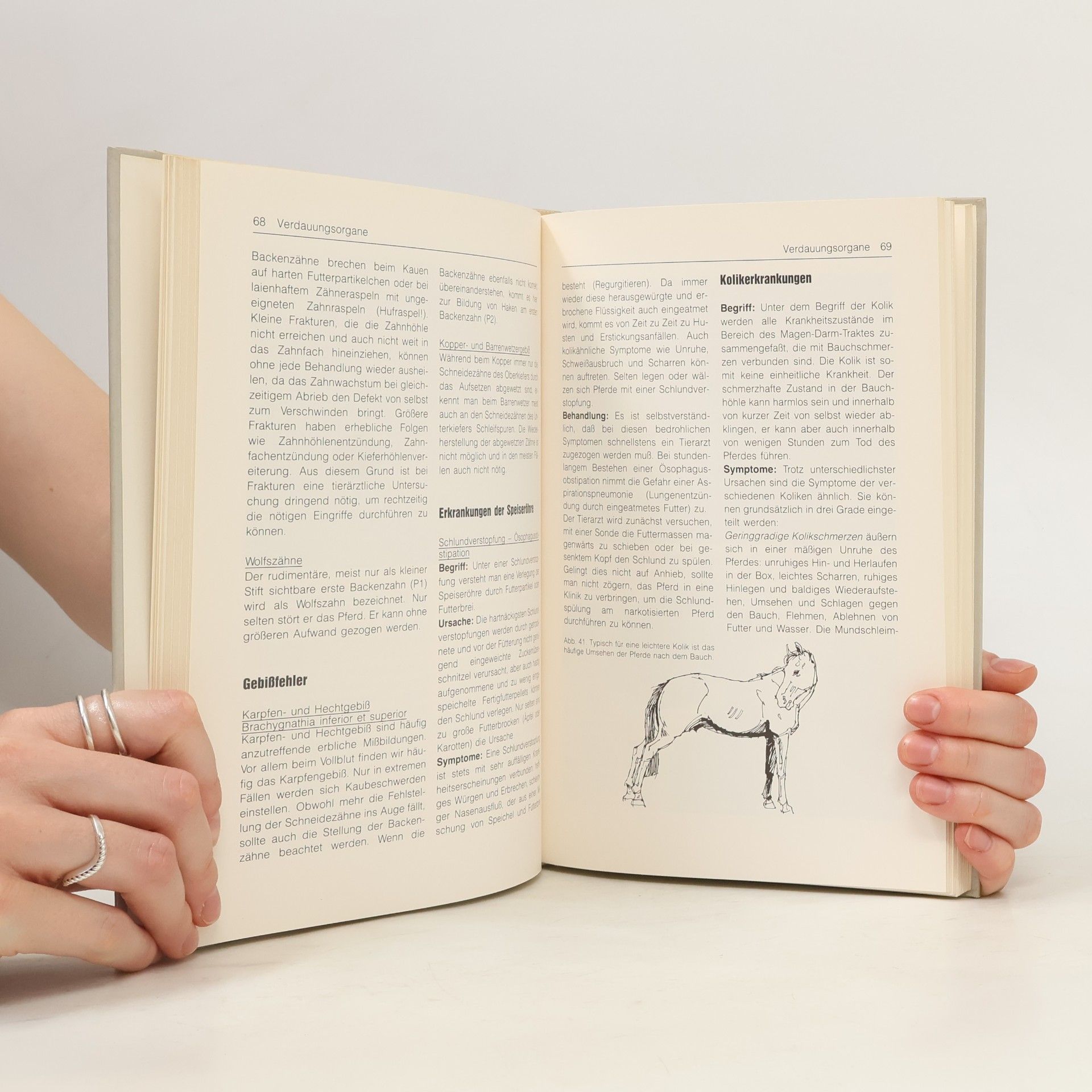 Maximilian Pick Neues Handbuch der Pferdekrankheiten