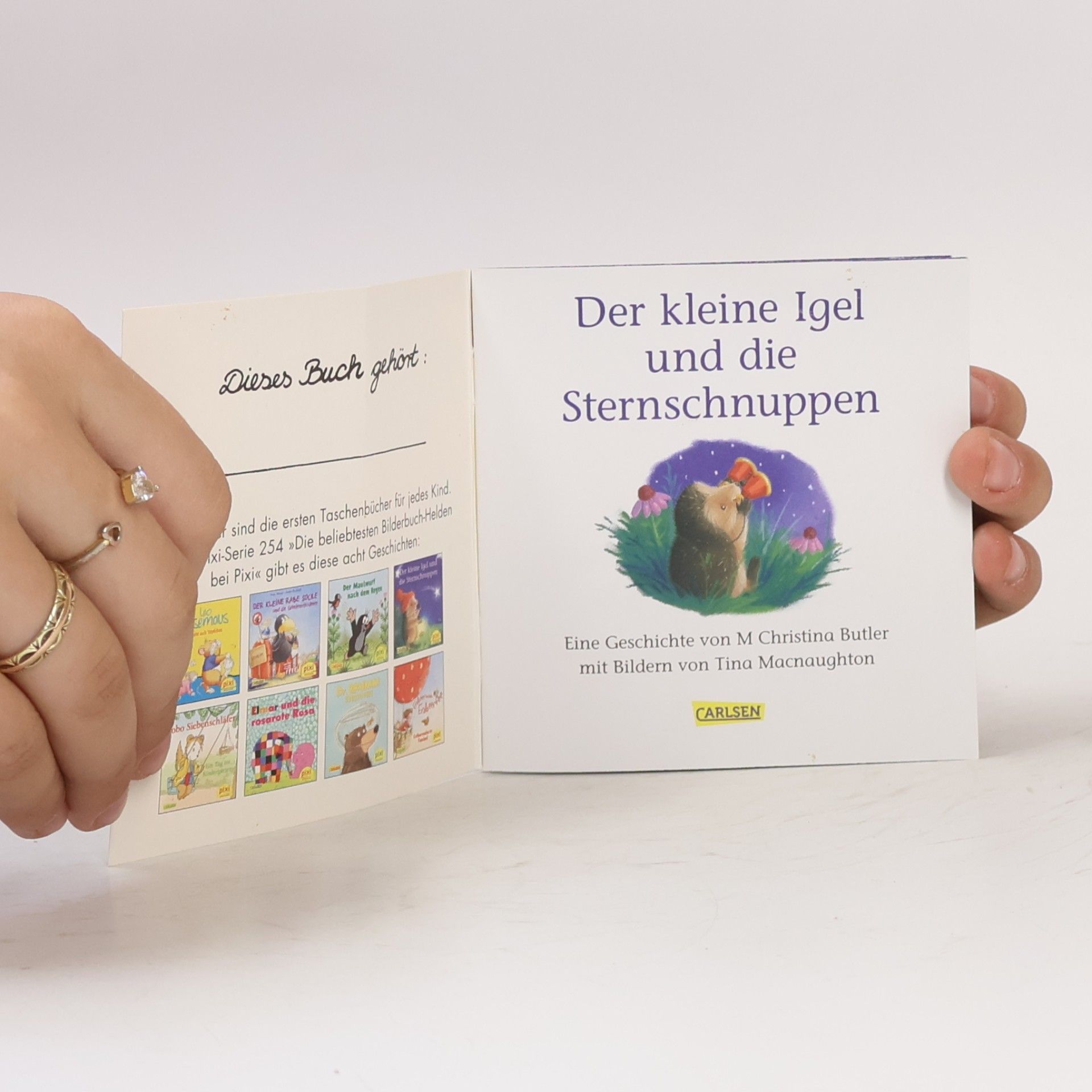 Autorenkollektiv Der kleine Igel und die Sternschnuppen