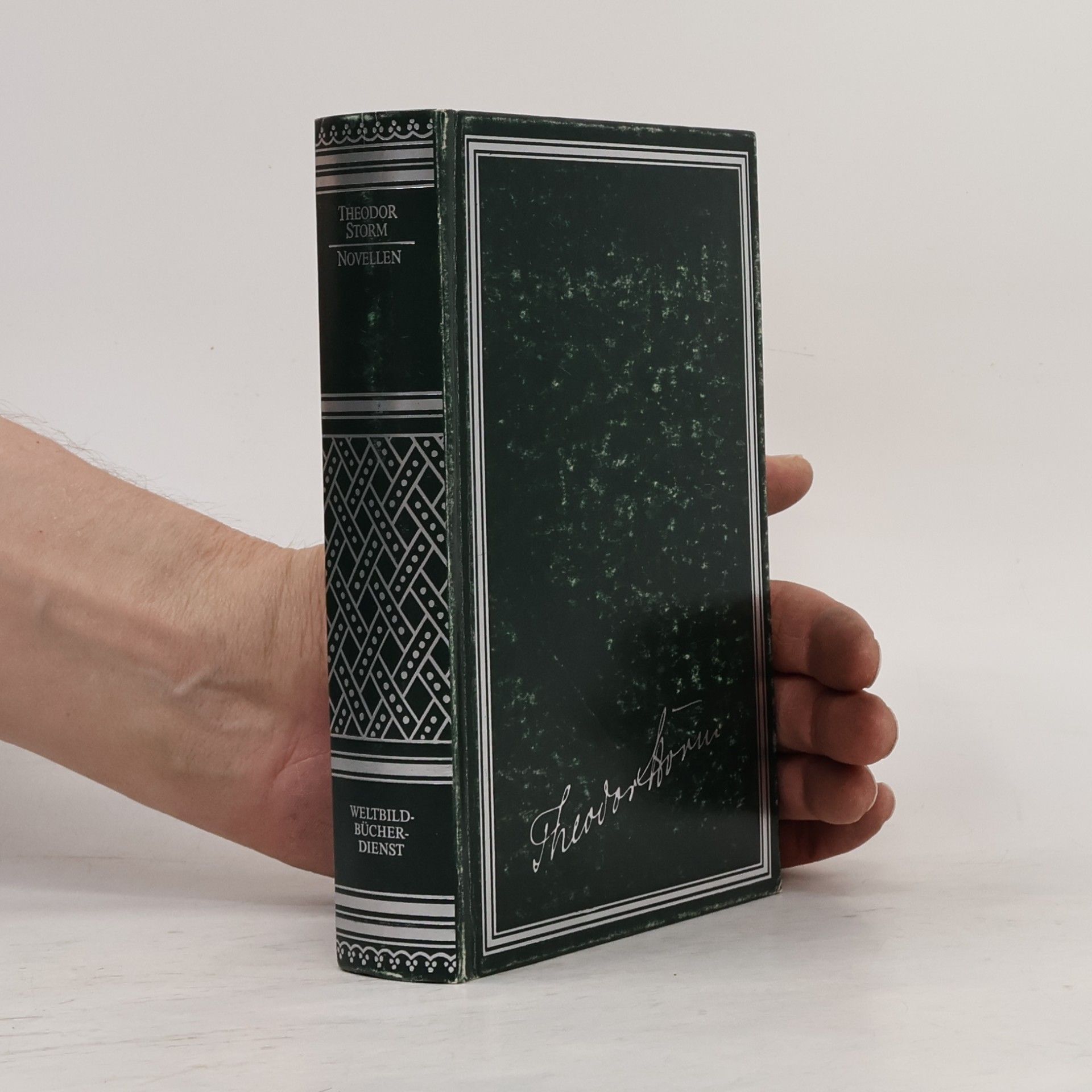 Hans Theodor Woldsen Storm Novellen