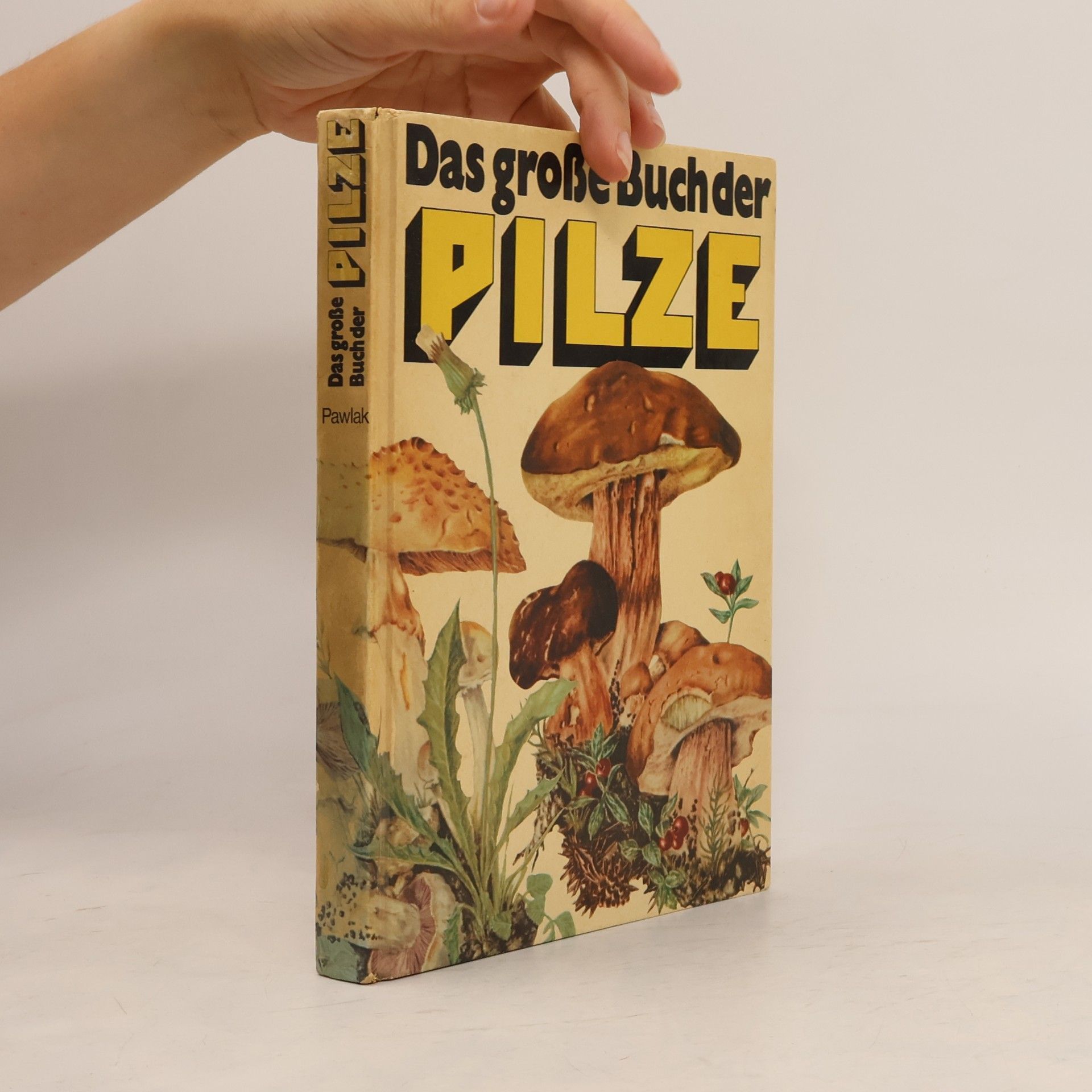 Das große Buch der Pilze