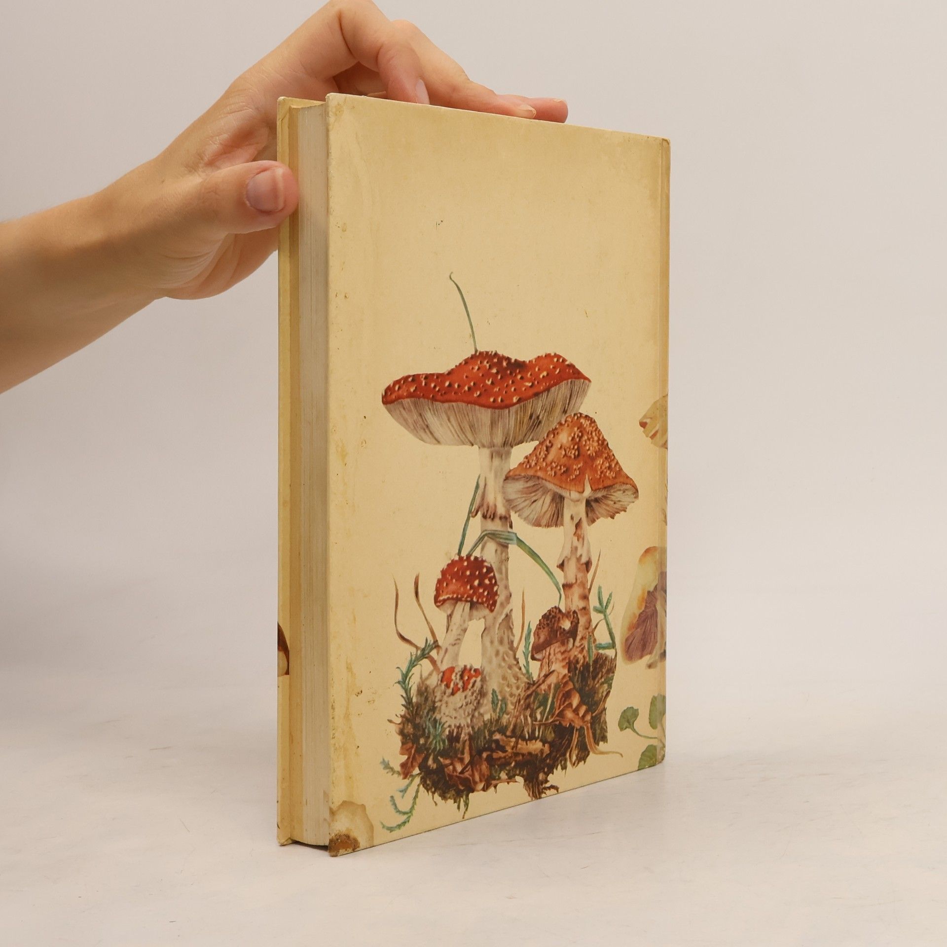 Fritz-Martin Engel Das große Buch der Pilze
