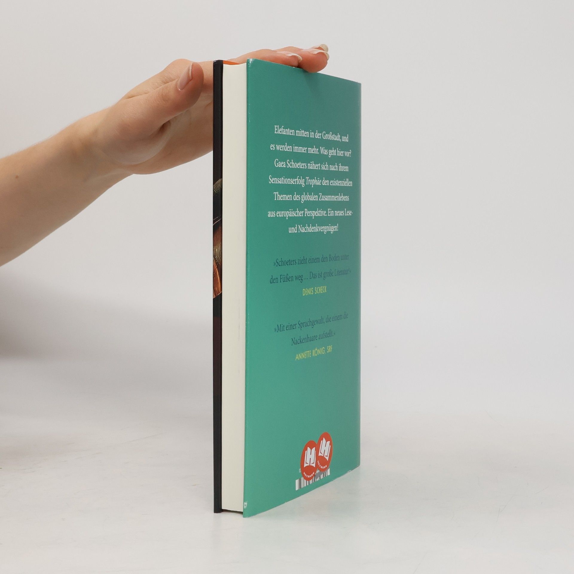 Gaea Schoeters Das Geschenk