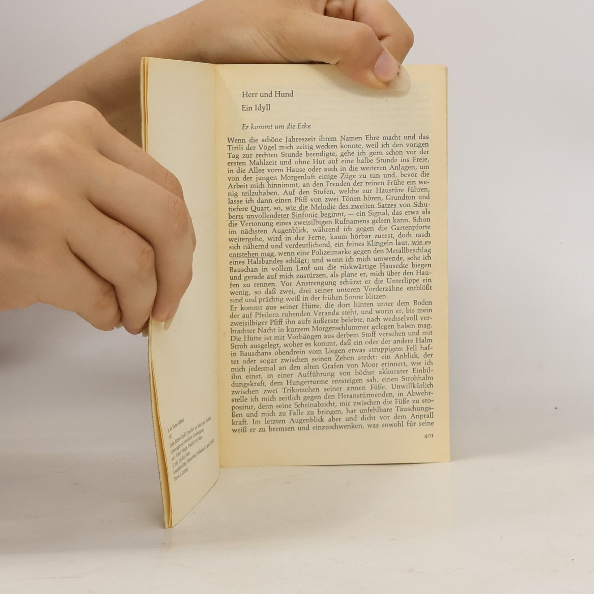 Thomas Mann Die Erzählungen 2