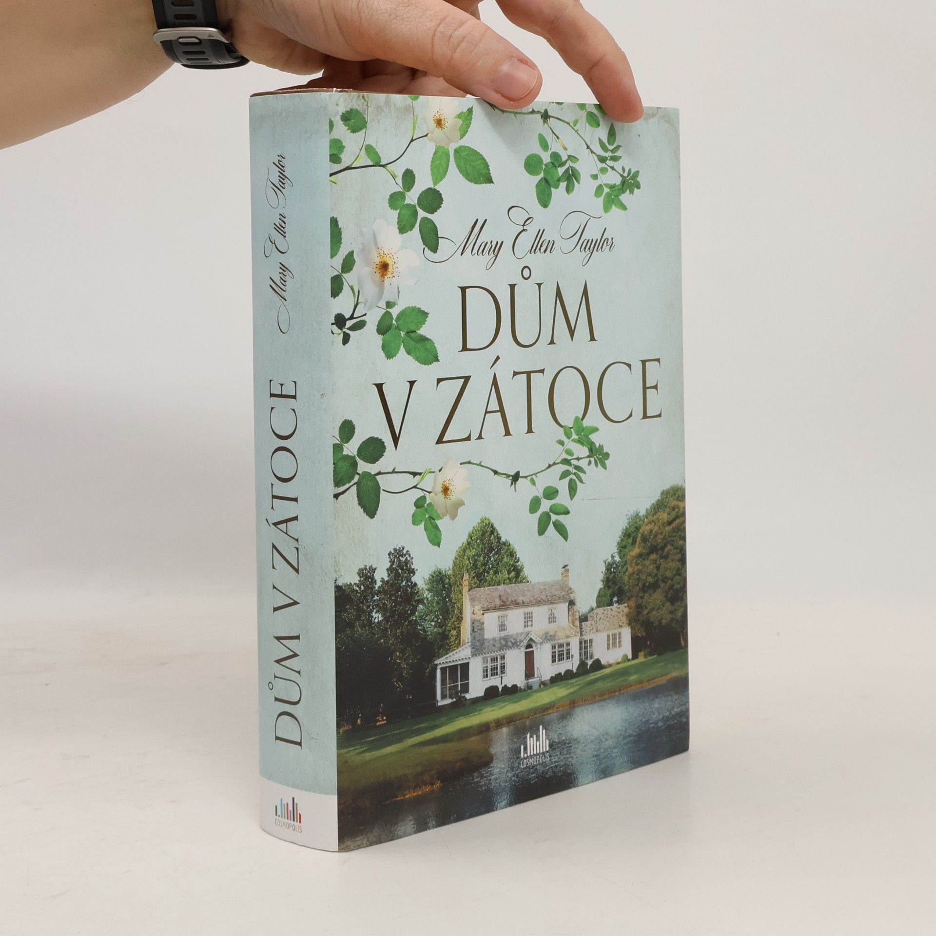 Mary Ellen Taylor Dům v zátoce