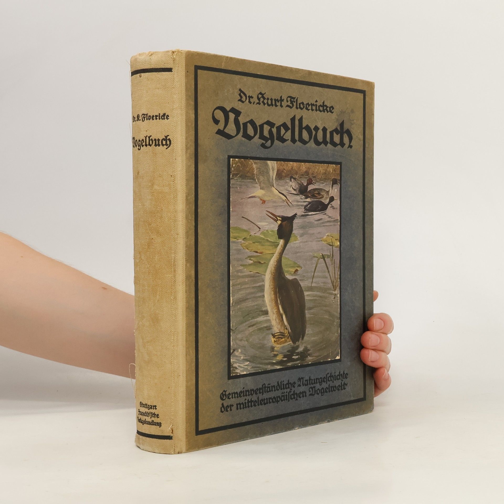 Kurt Floerickes  Vogelbuch