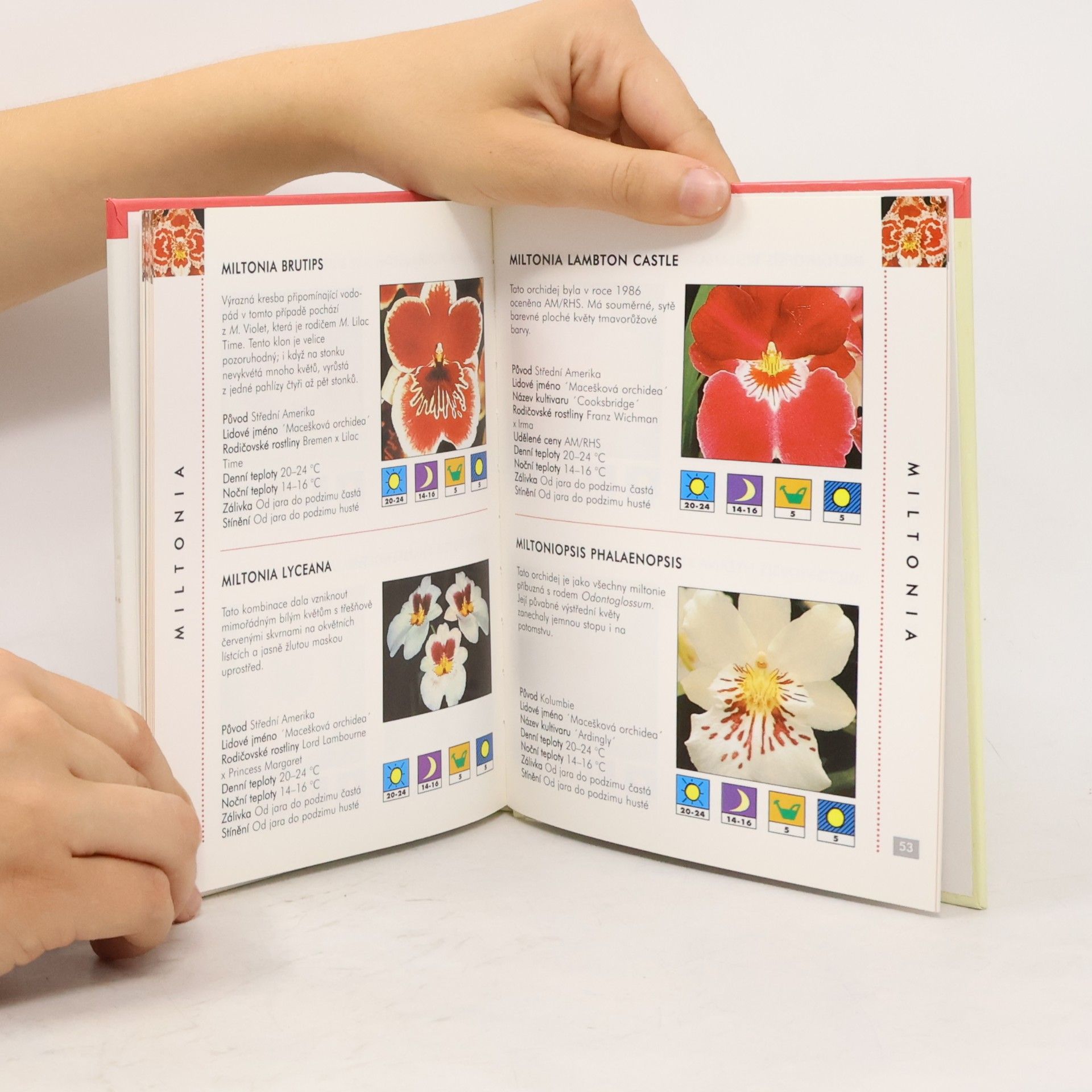 Autores varios Orchideje : praktický průvodce exotickým světem orchidejí