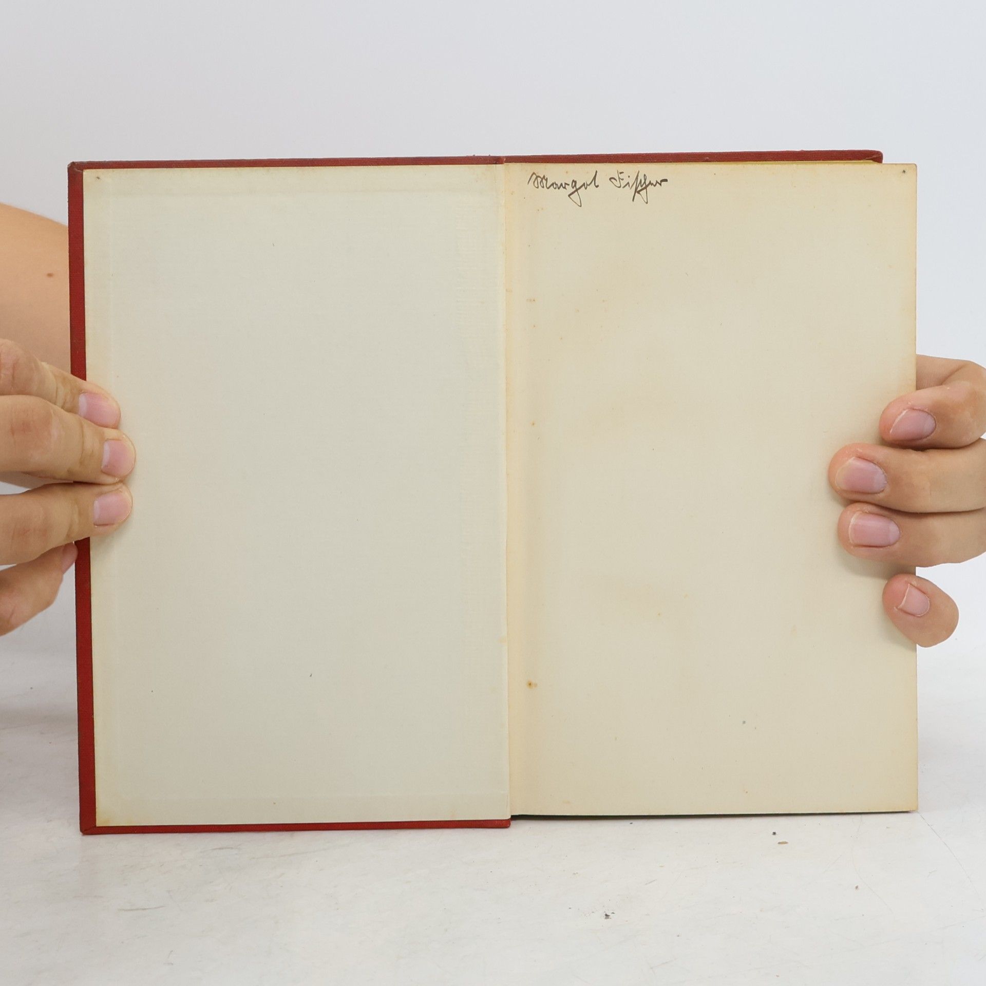 Alexandre Dumas starší Der Graf von Monte Christo