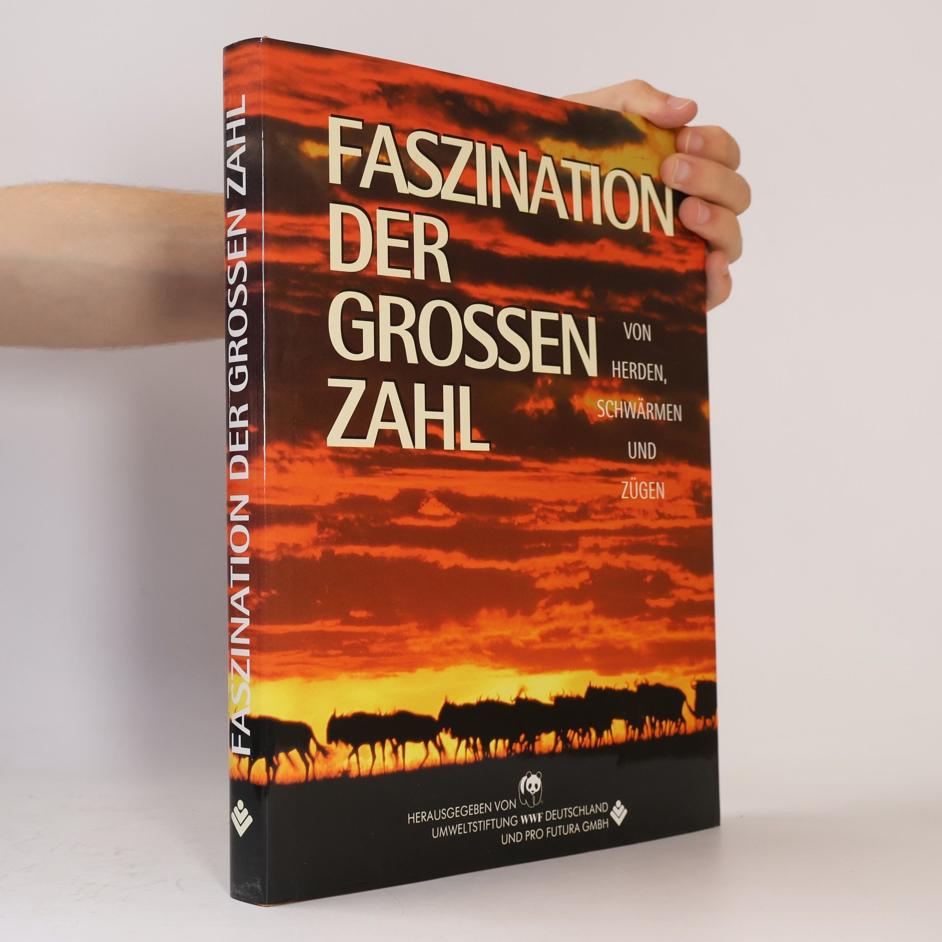 Autorenkollektiv Faszination der großen Zahl: Von Herden, Schwärmen und Zügen