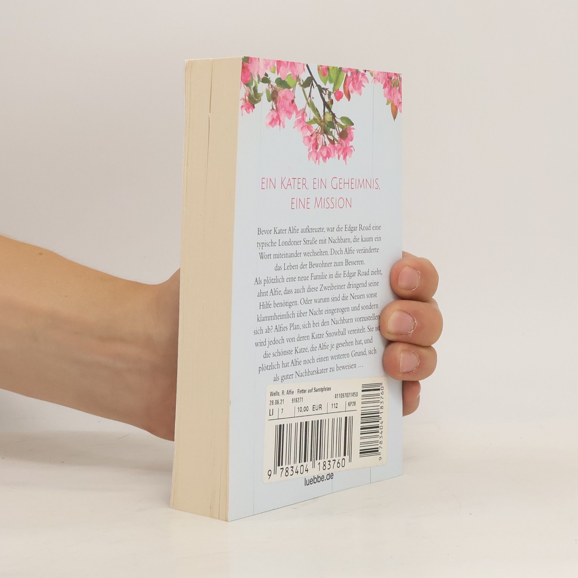 Rachel Wells Alfie - Retter auf Samtpfoten