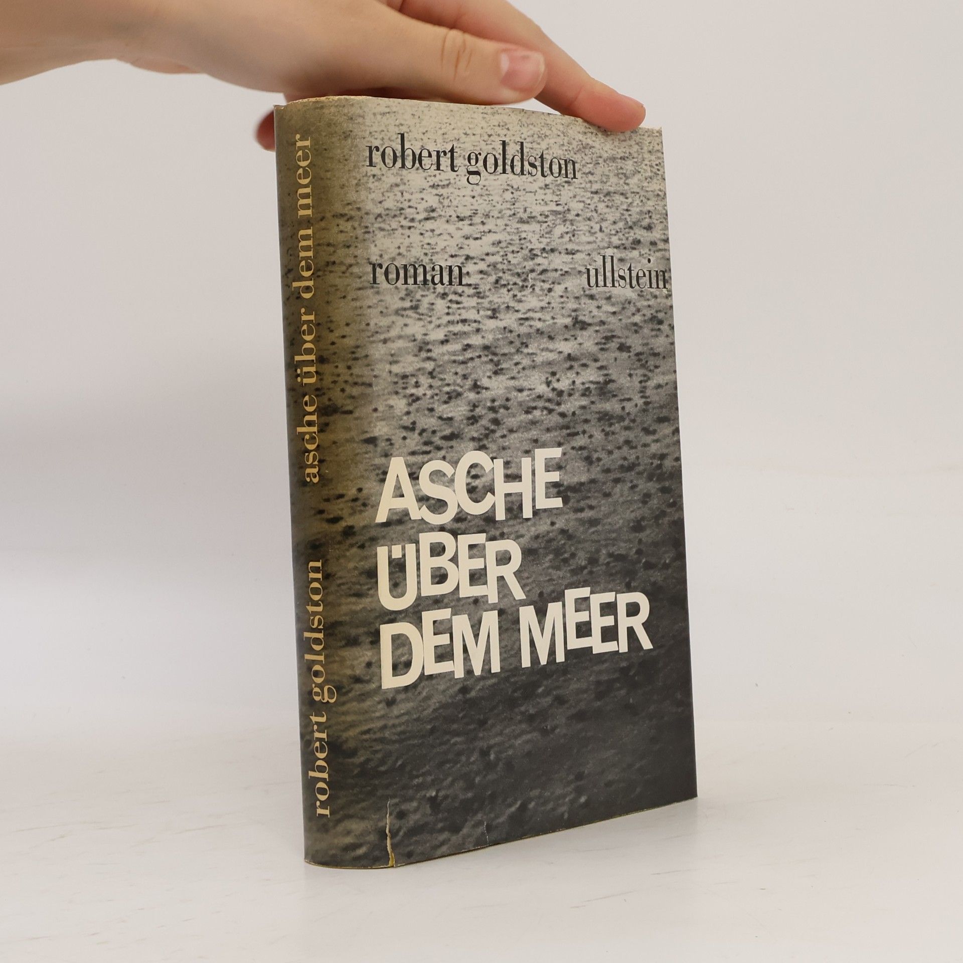 Robert Goldston Asche über dem meer