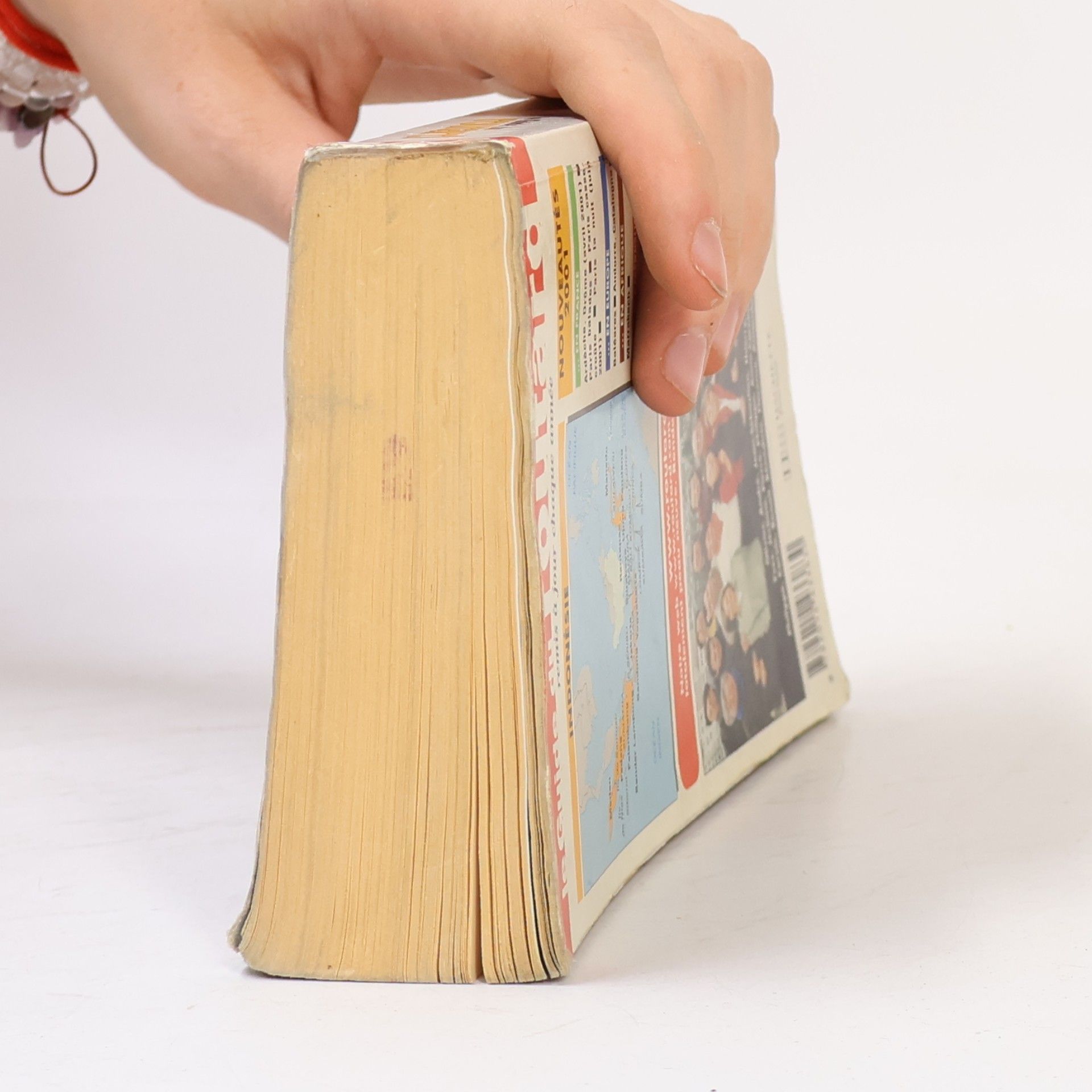 Le Guide du Routard: Indonésie , 2001-2002