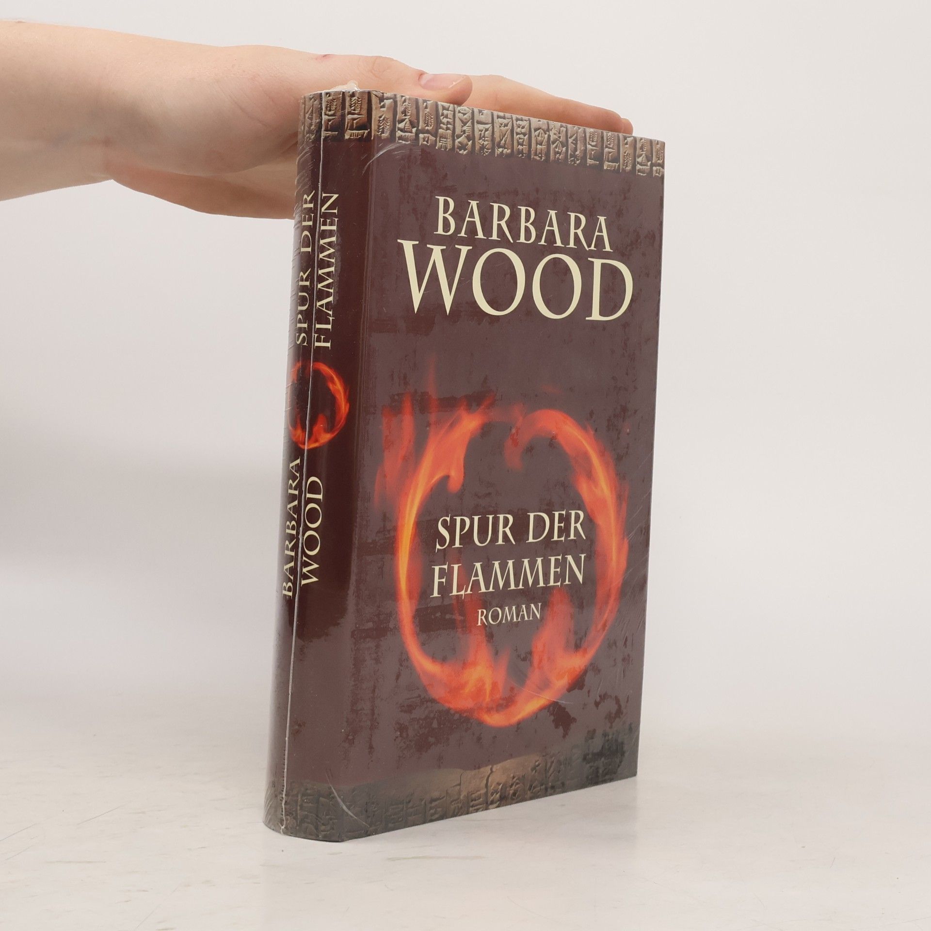 Barbara Wood Spur der Flammen