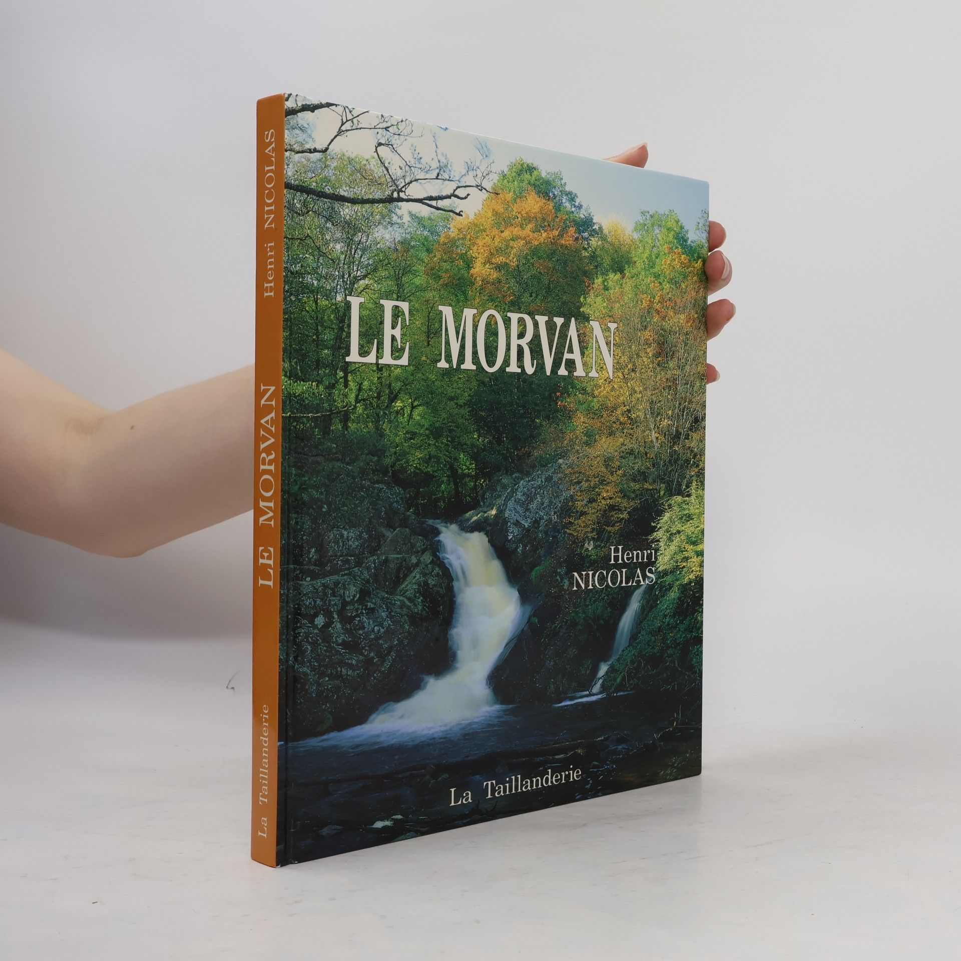 Henri Nicolas Le Morvan