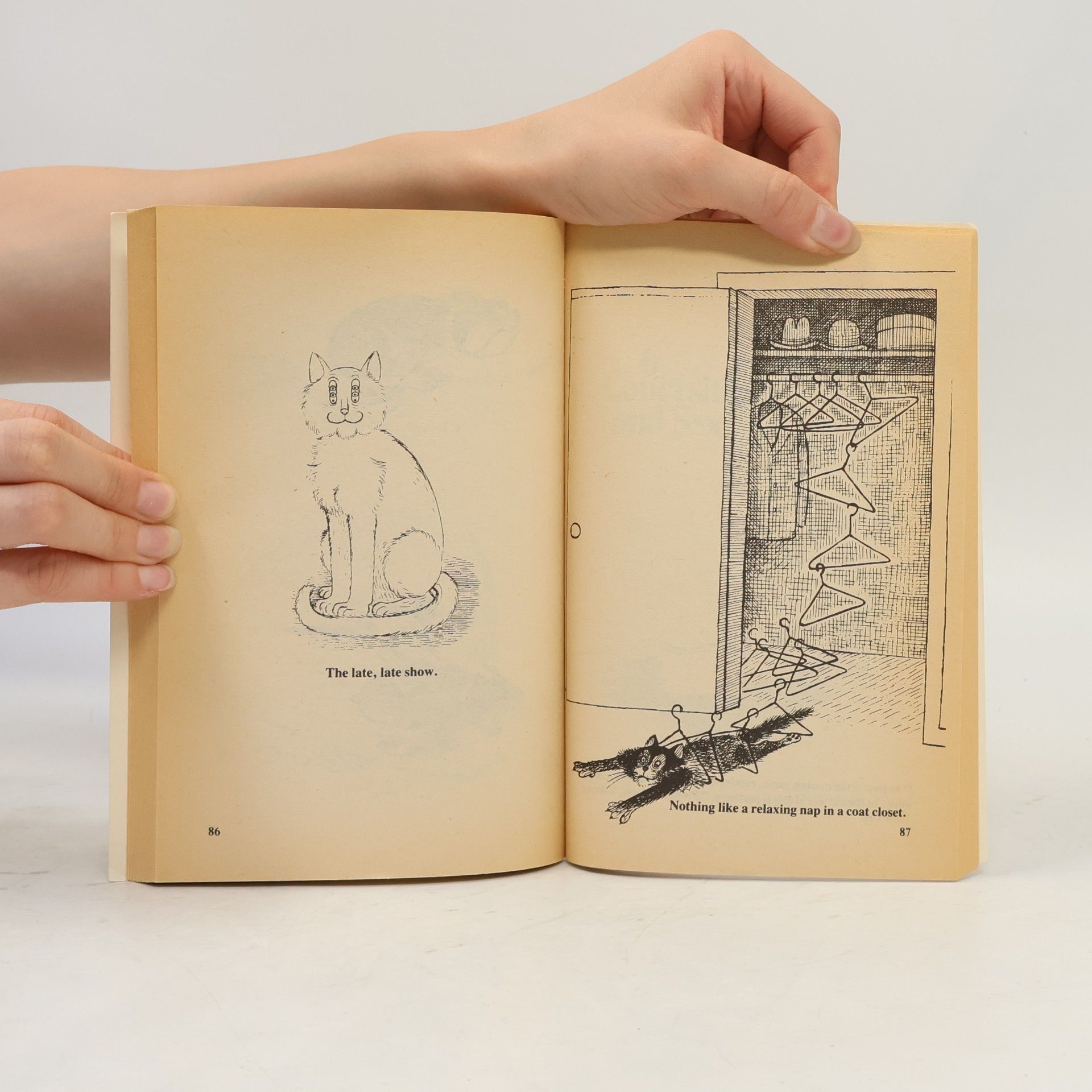 Eric Gurney The Calculating Cat: Calculating Cat Returns