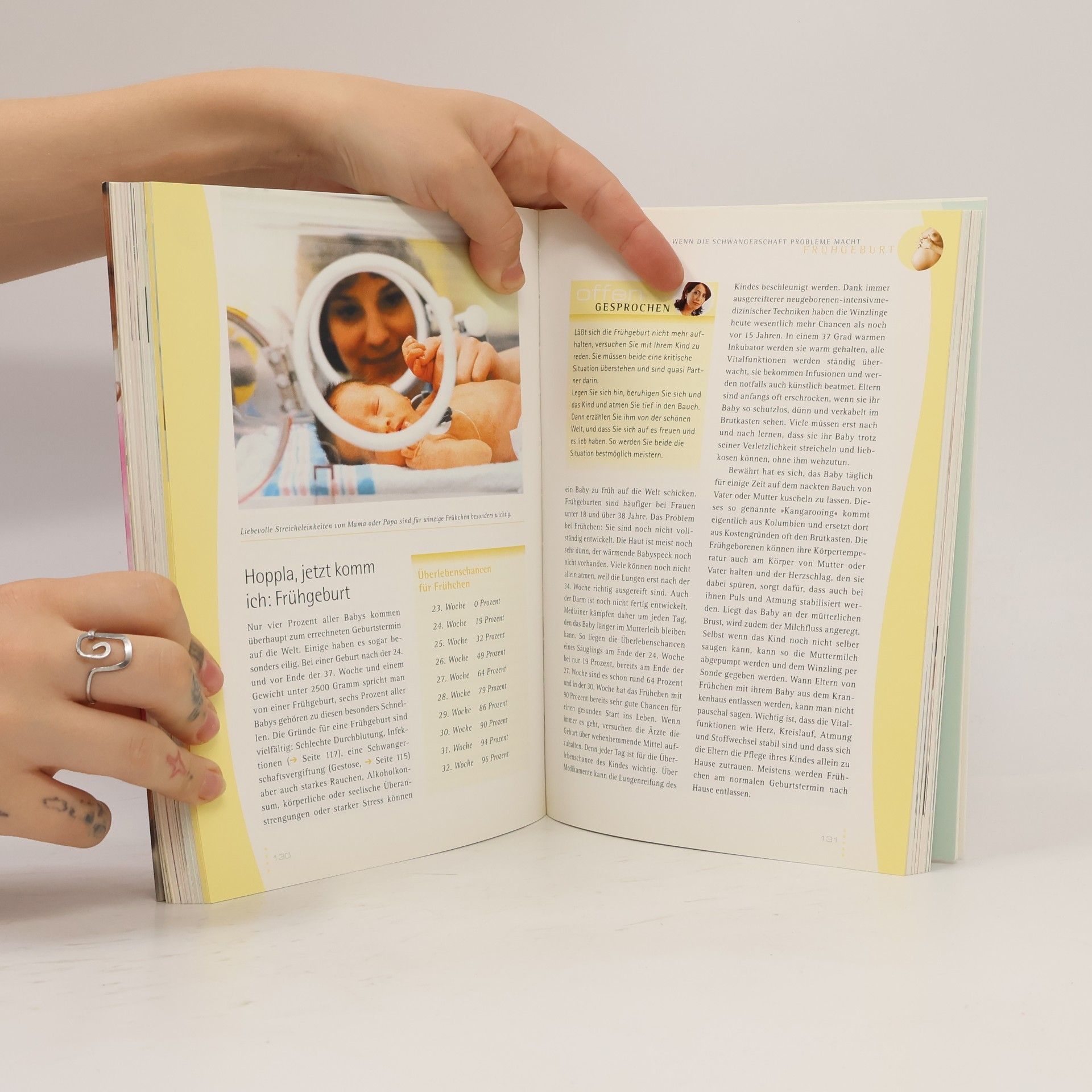 Verena Breitenbach Das Buch von Schwangerschaft und Geburt