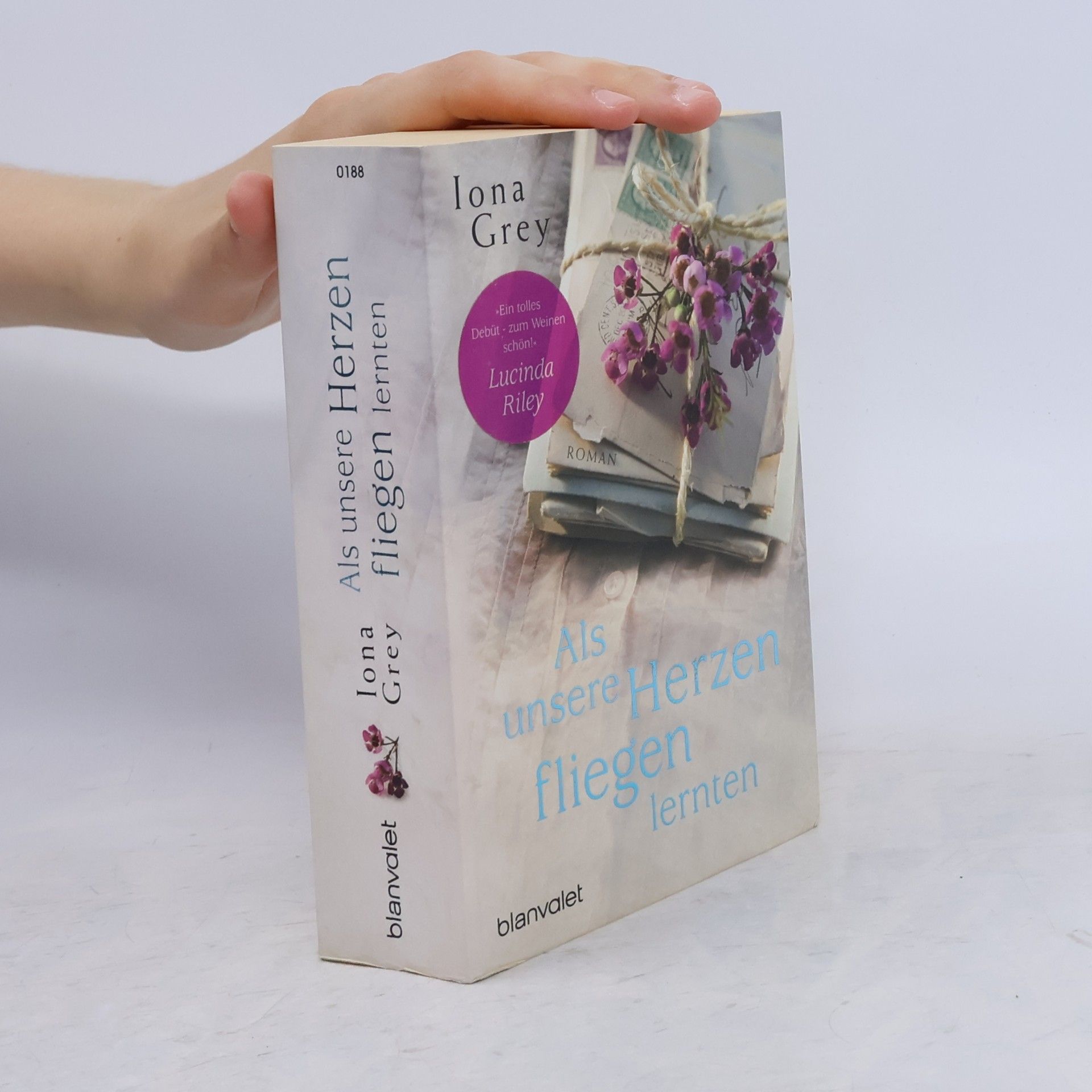 Iona Grey Als unsere Herzen fliegen lernten