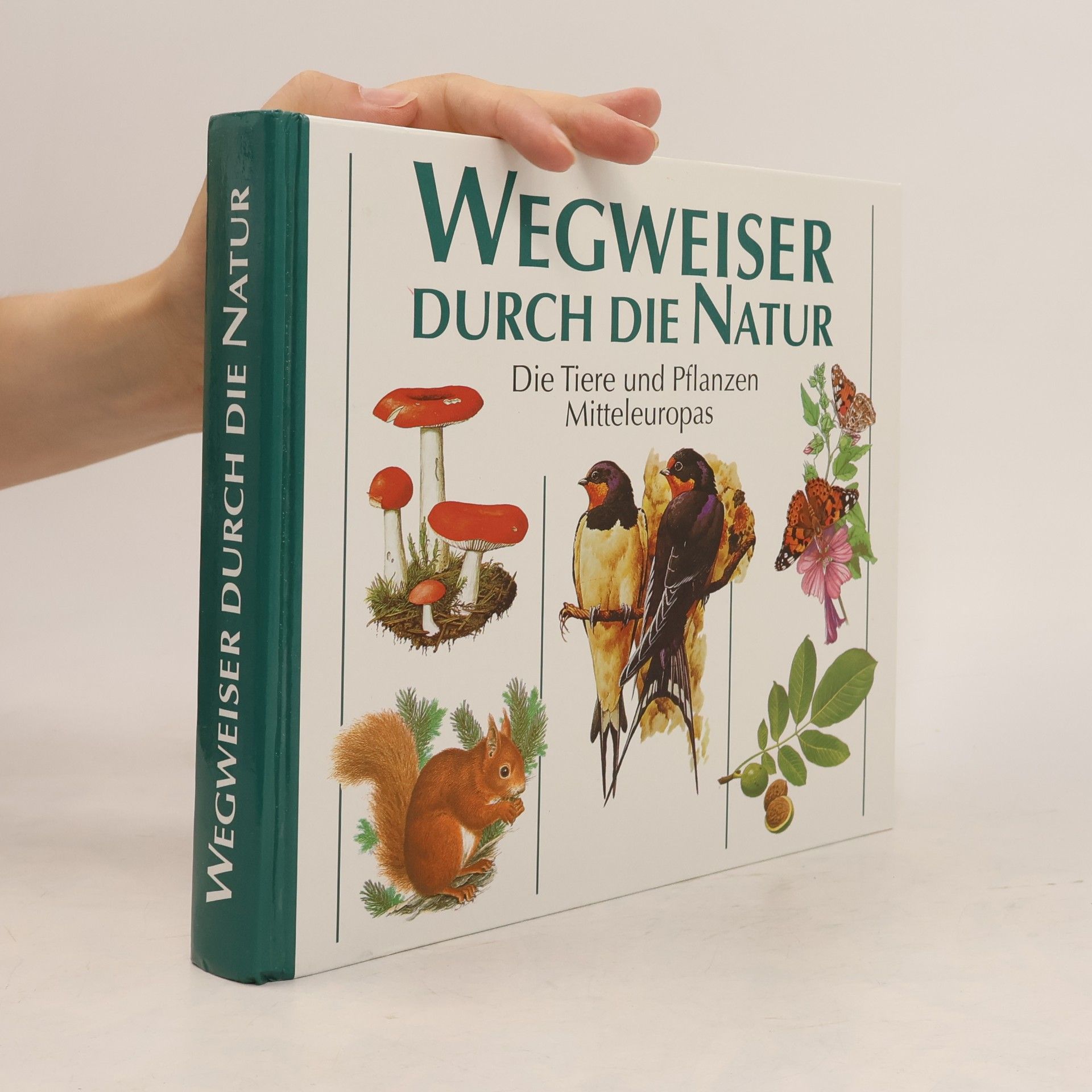Kolektiv autorů Wegweiser durch die Natur. Die Tiere und Pflanzen Mitteleuropas