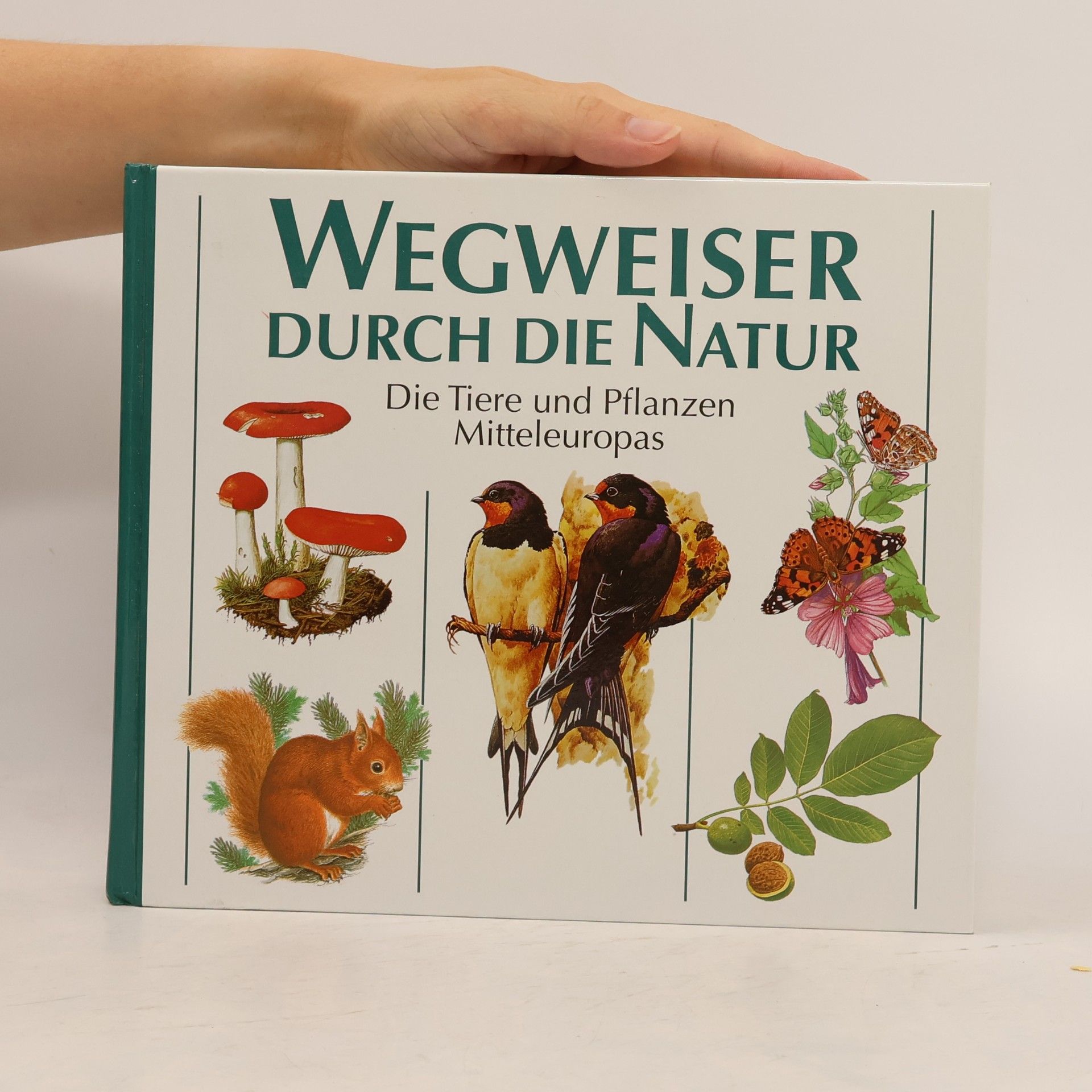 Kolektiv autorů Wegweiser durch die Natur. Die Tiere und Pflanzen Mitteleuropas