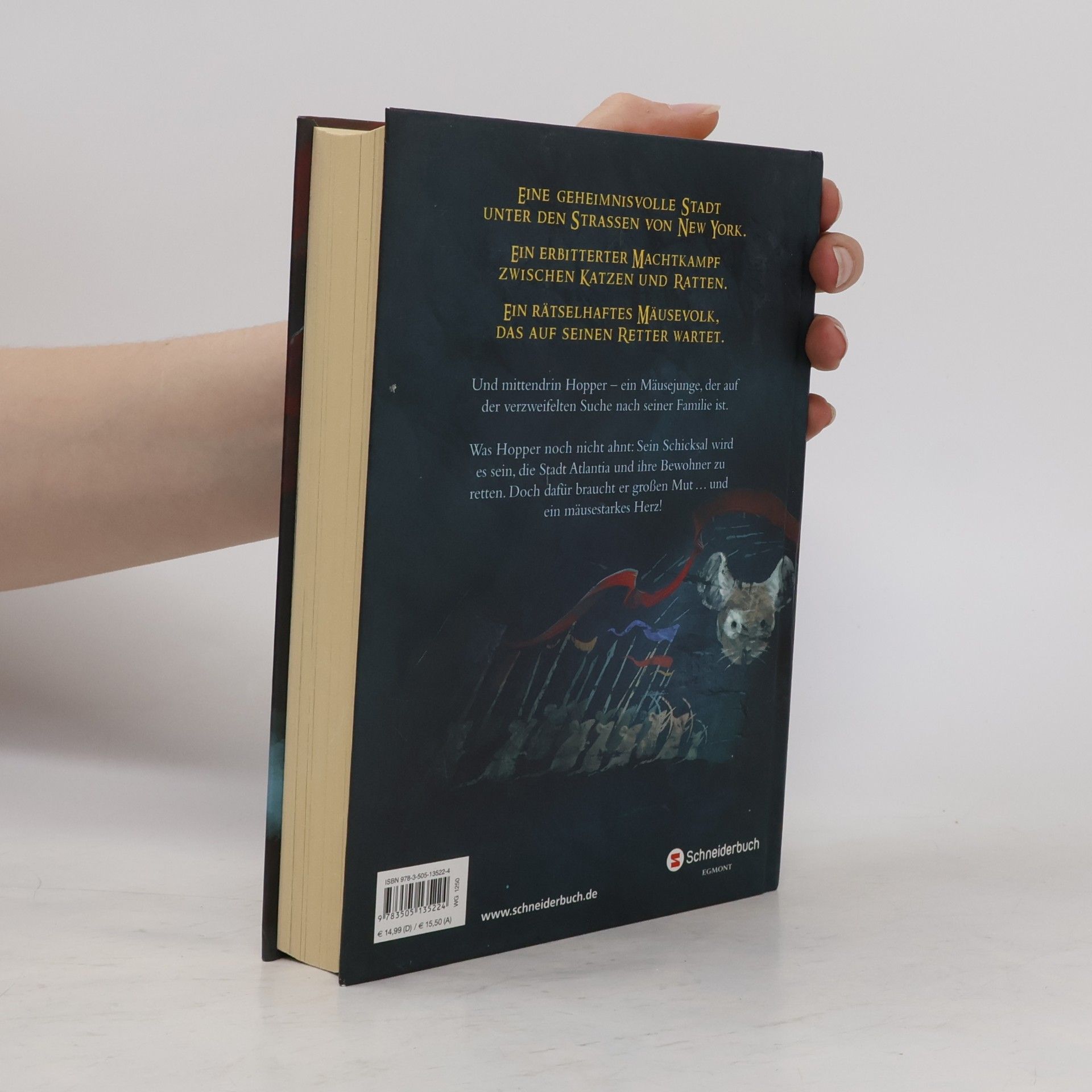 Lisa Fiedler Mouseheart: Die Prophezeiung der Mäuse