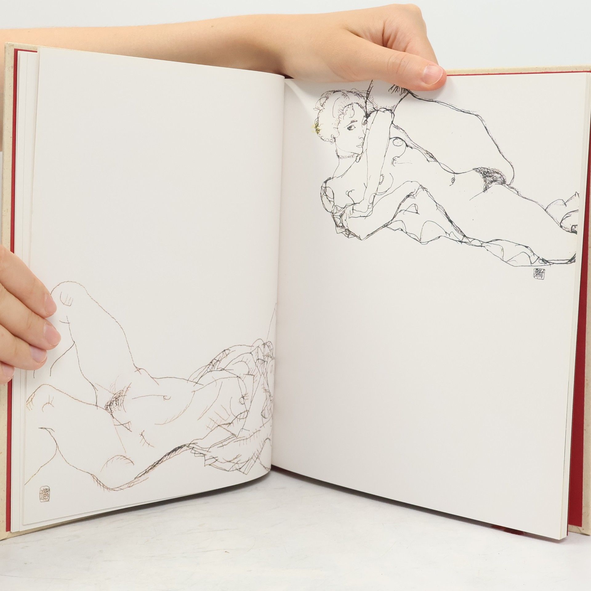Egon Schiele Schiele: Erotische schetsboeken