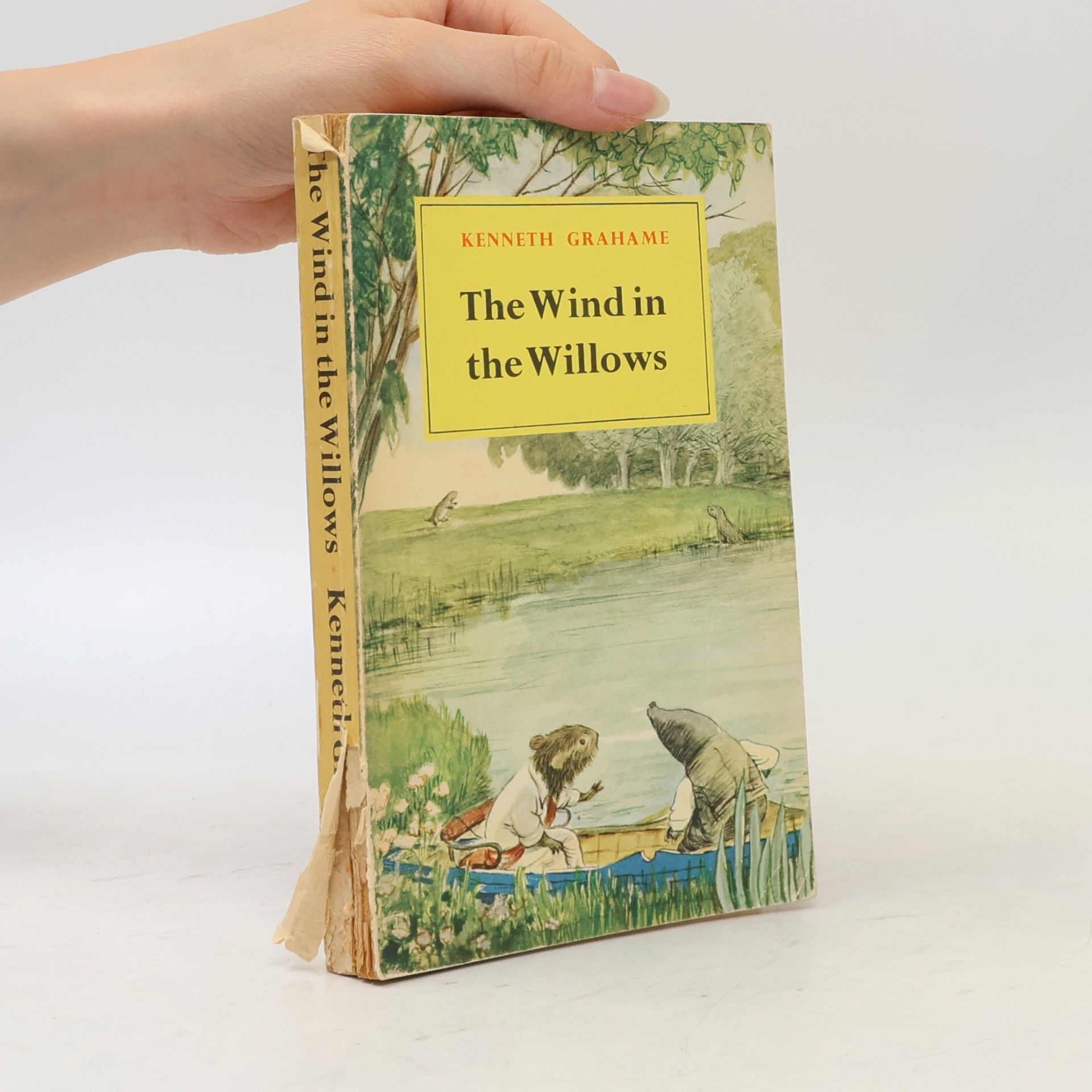 Kenneth Grahame The Wind in the Willows
