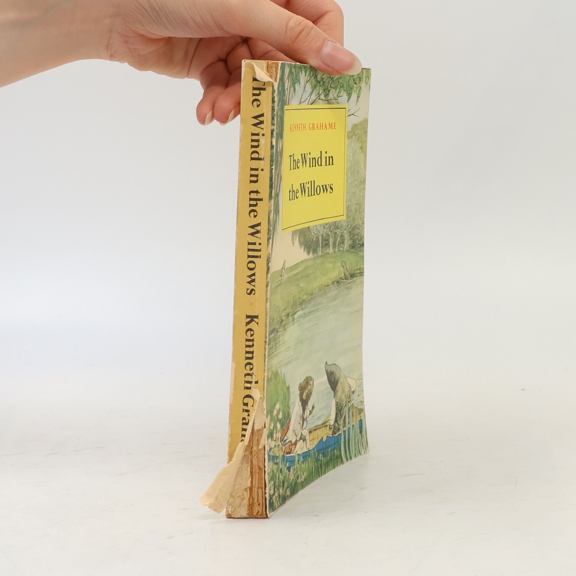 Kenneth Grahame The Wind in the Willows