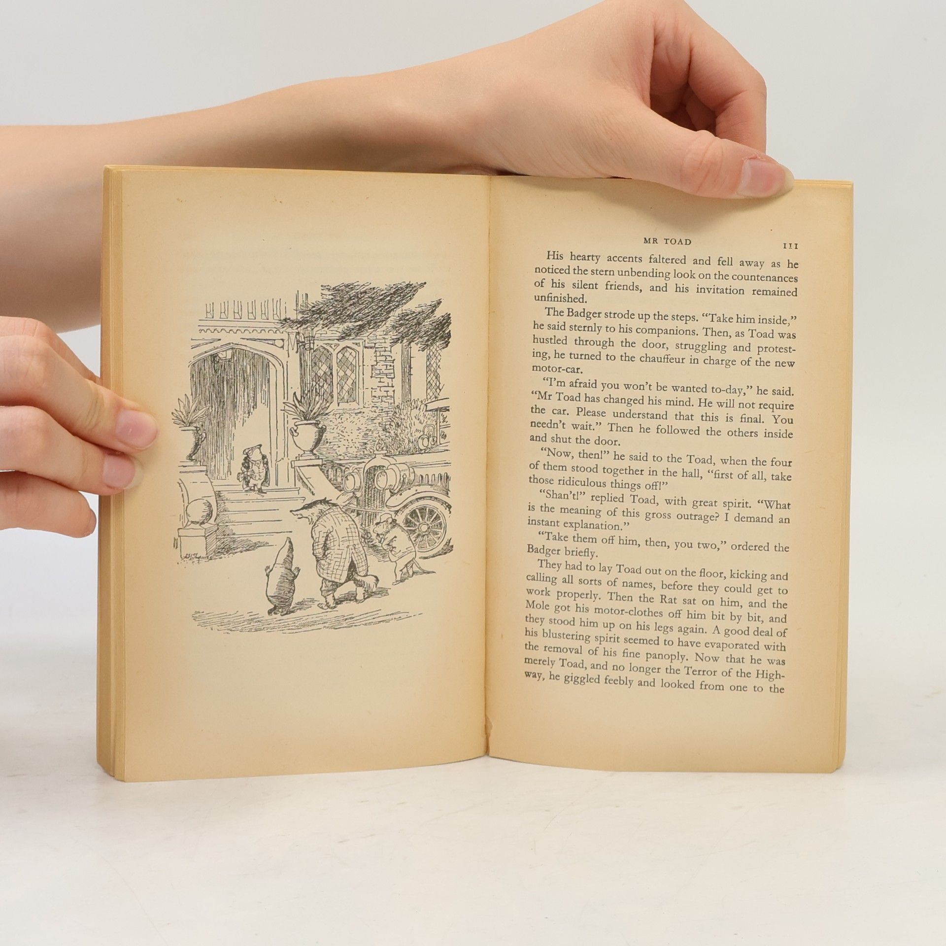 Kenneth Grahame The Wind in the Willows