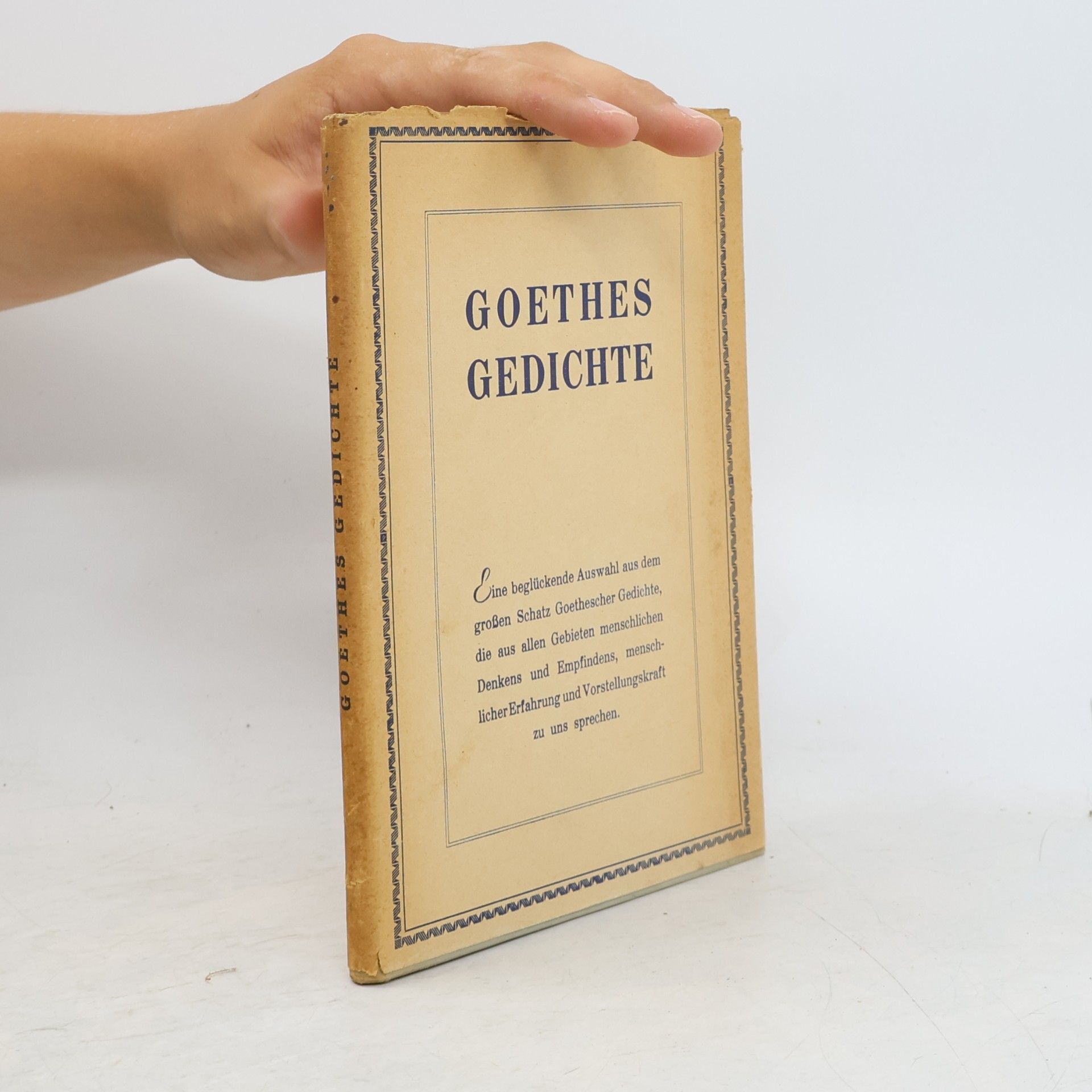 Autorenkollektiv Goethes Gedichte