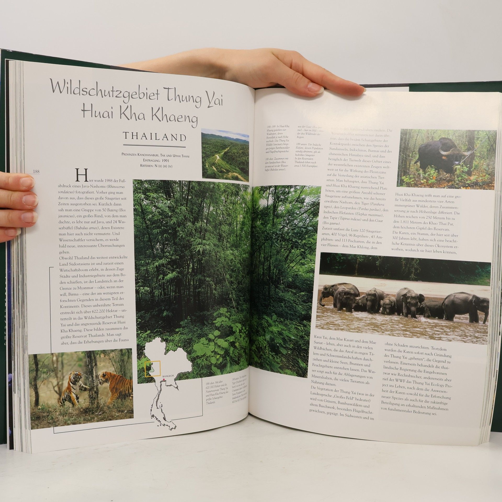 Susanne Tauch Unesco-Weltkulturerbe