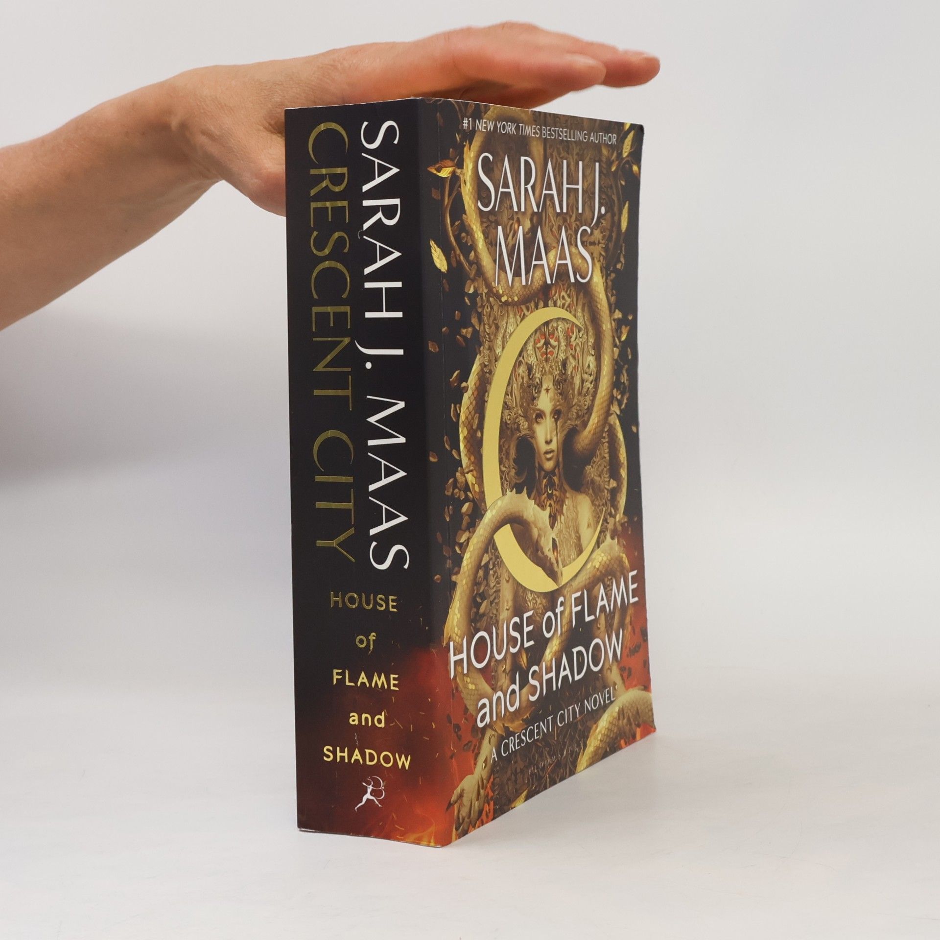 Sarah J. Maas House of Flame and Shadow