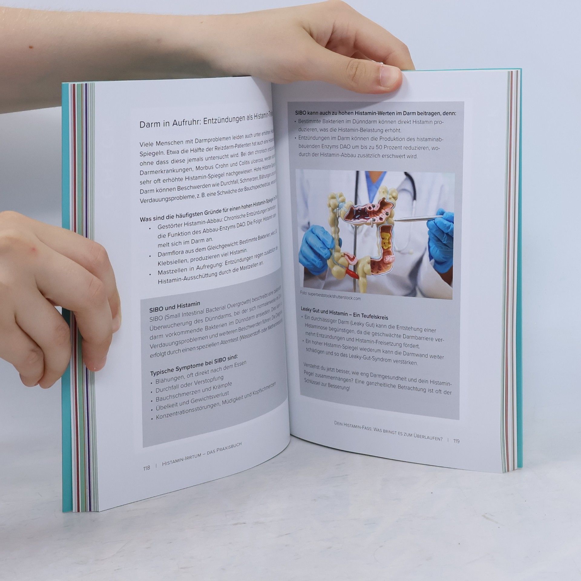 Kyra Kauffmann Histamin-Irrtum - Das Praxisbuch