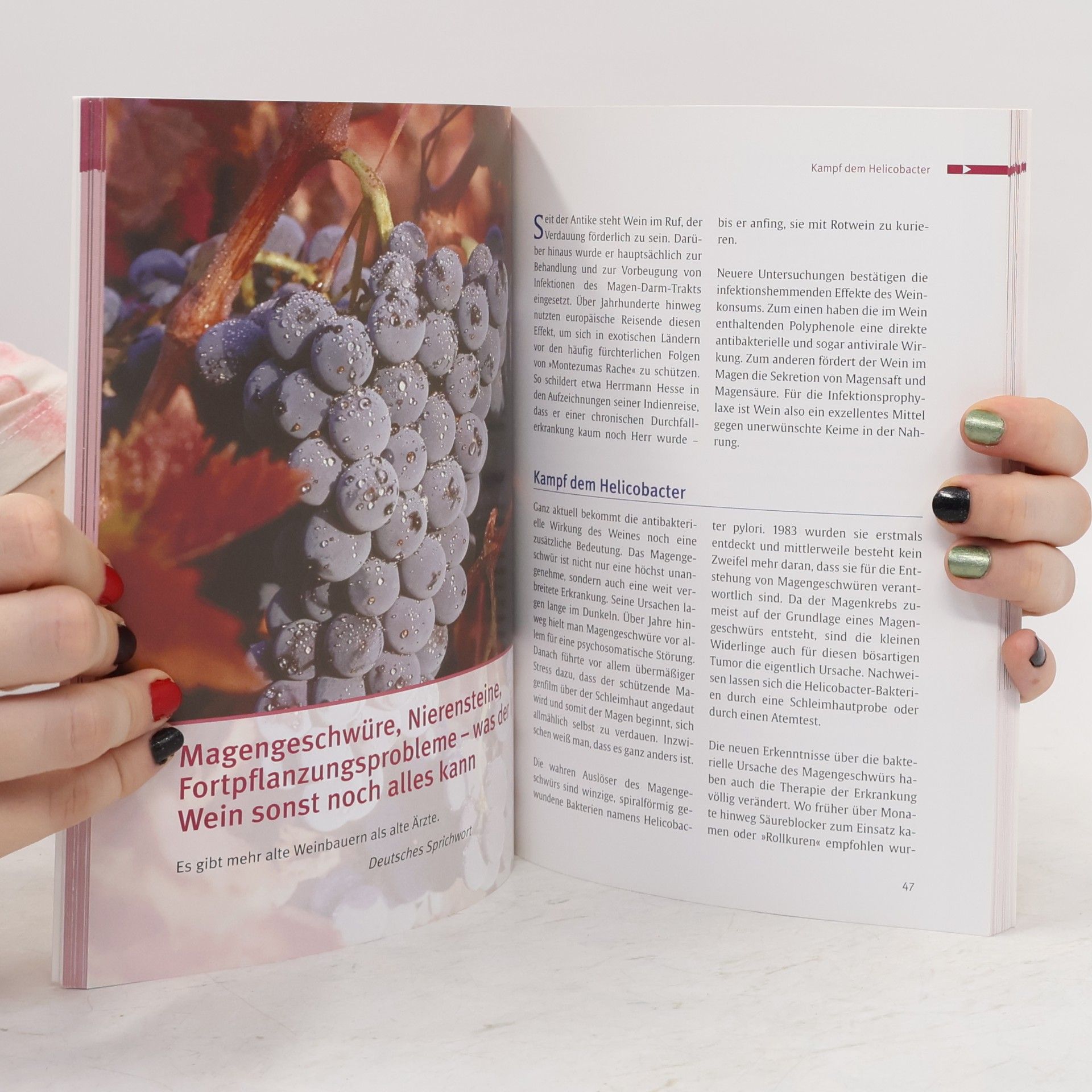 Bernd Kleine-Gunk Resveratrol. Länger jung mit der Rotwein-Medizin