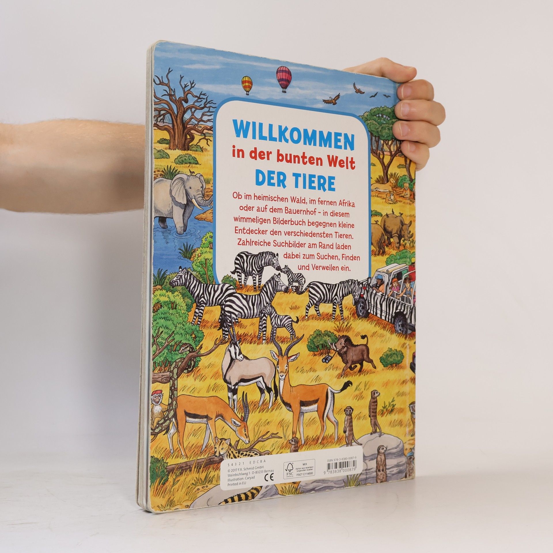 Caryad Mein großes Bilderbuch vom Suchen und Finden