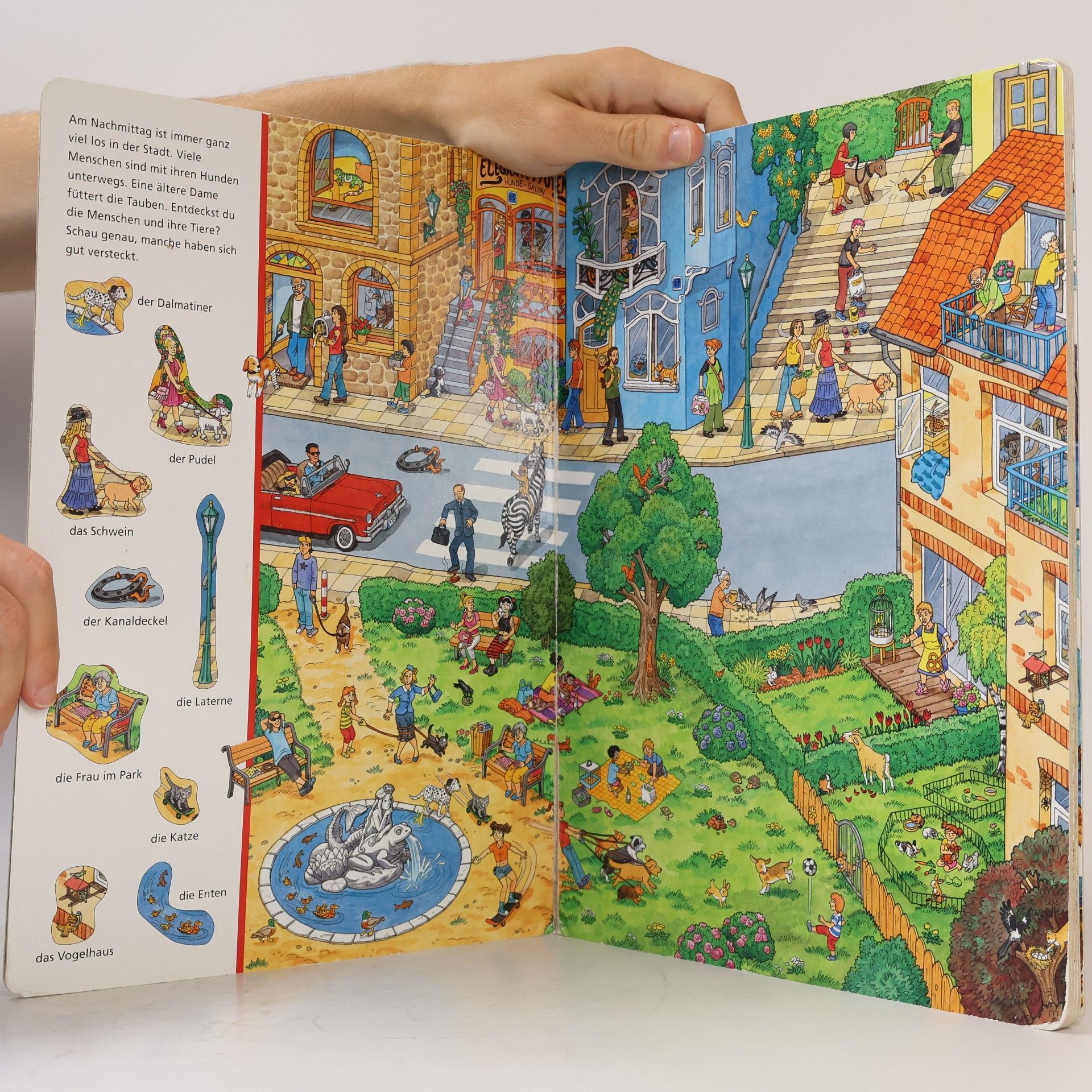 Caryad Mein großes Bilderbuch vom Suchen und Finden