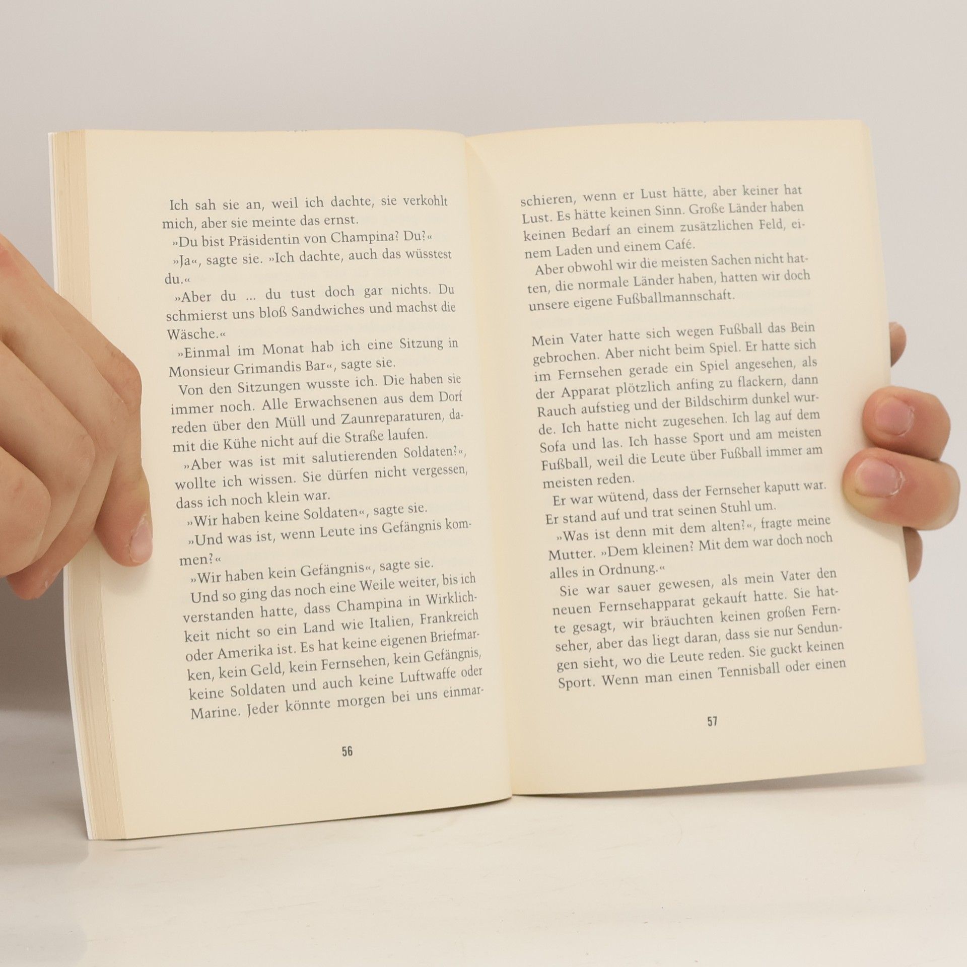 Nick Hornby Small country