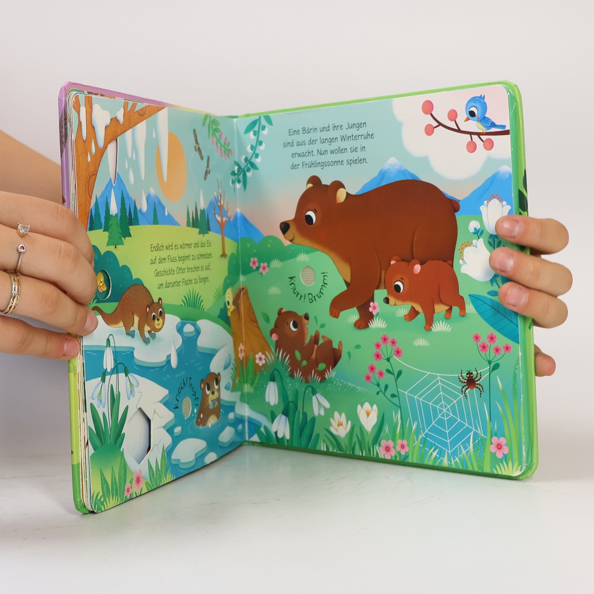 Autores varios Klänge der Natur: Wie klingen die Jahreszeiten?