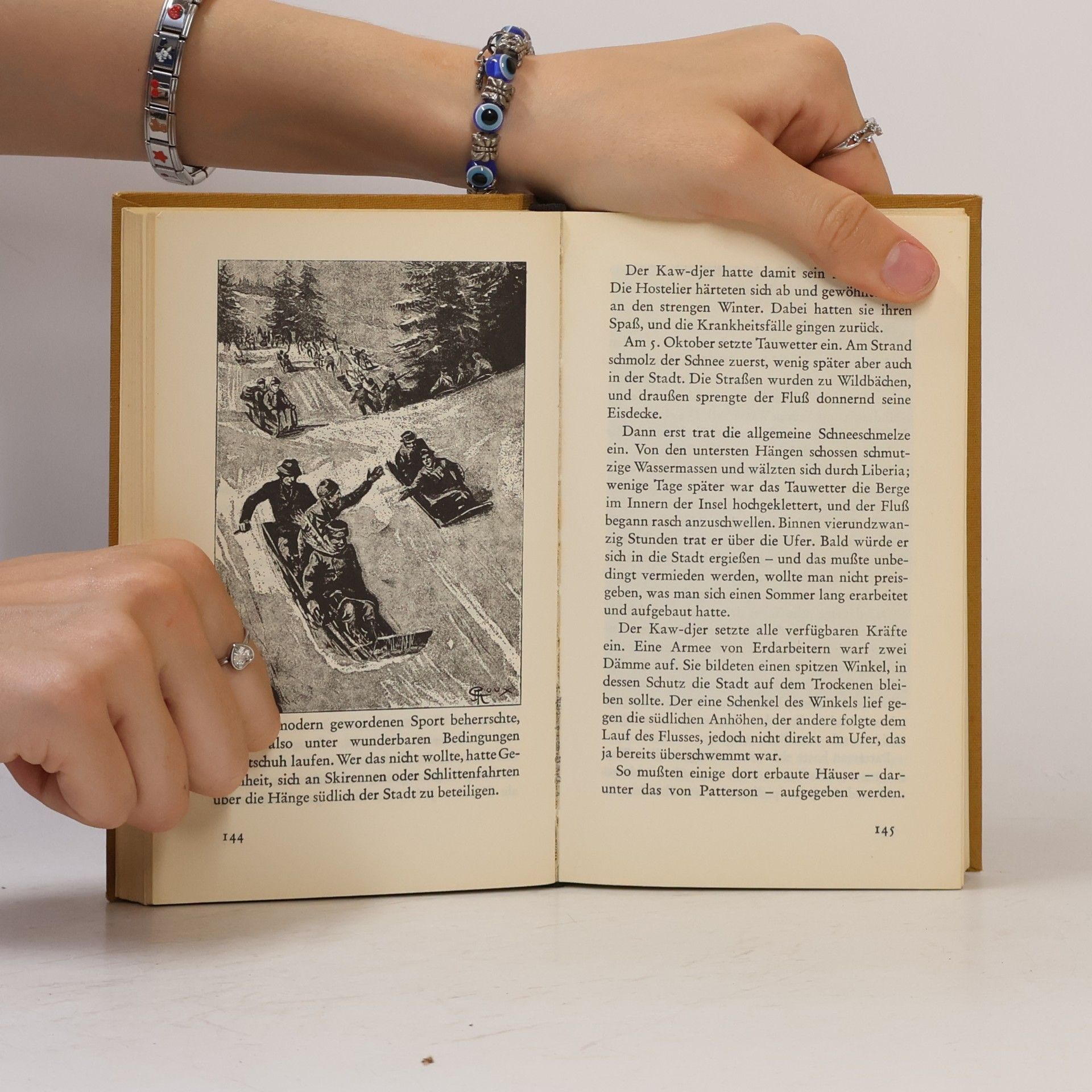 Jules Verne Die Gestrandeten 2