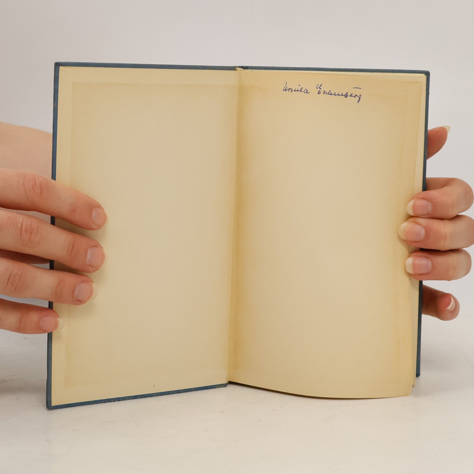 Heinrich Heine Heines Werke 5