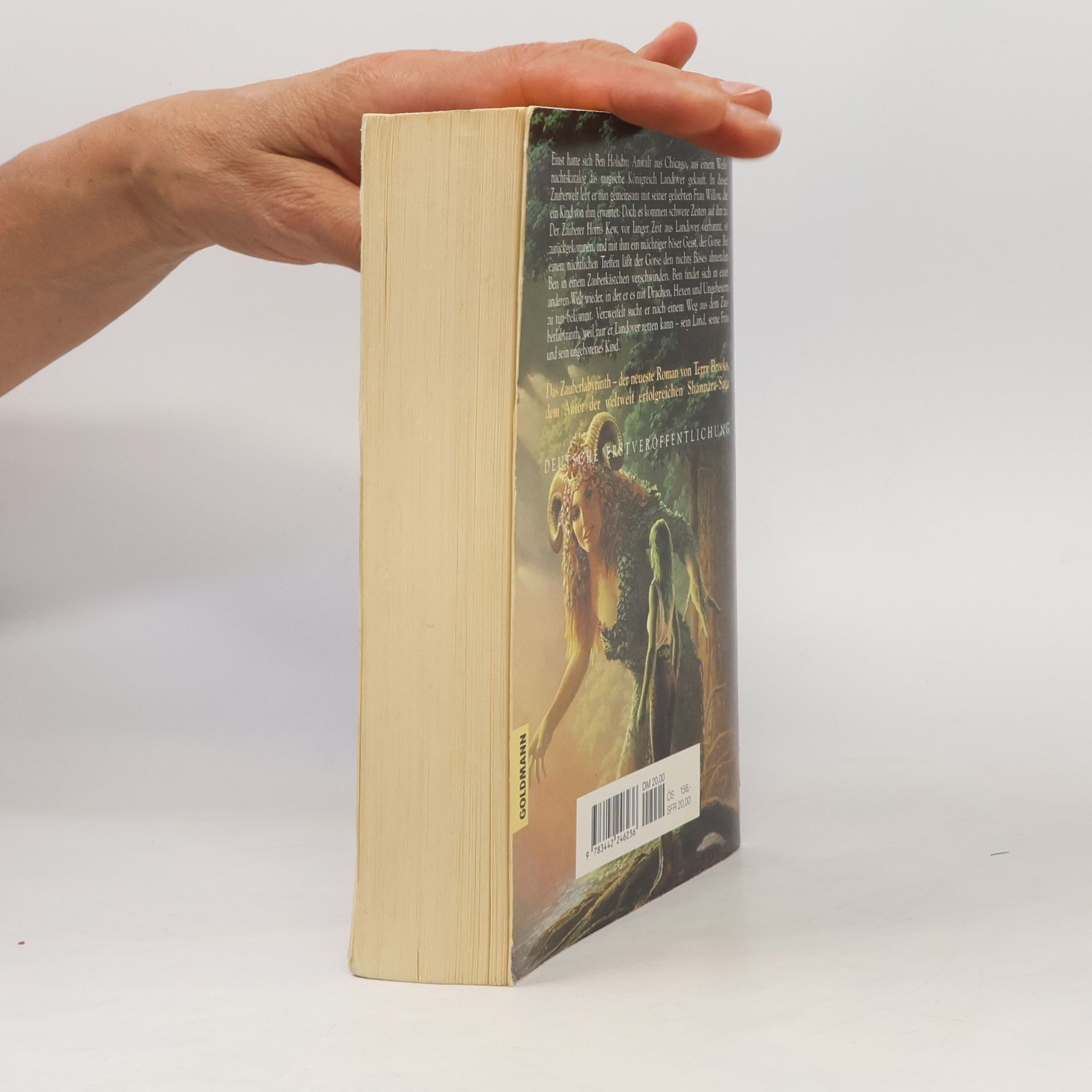 Terry Brooks Das Zauberlabyrinth