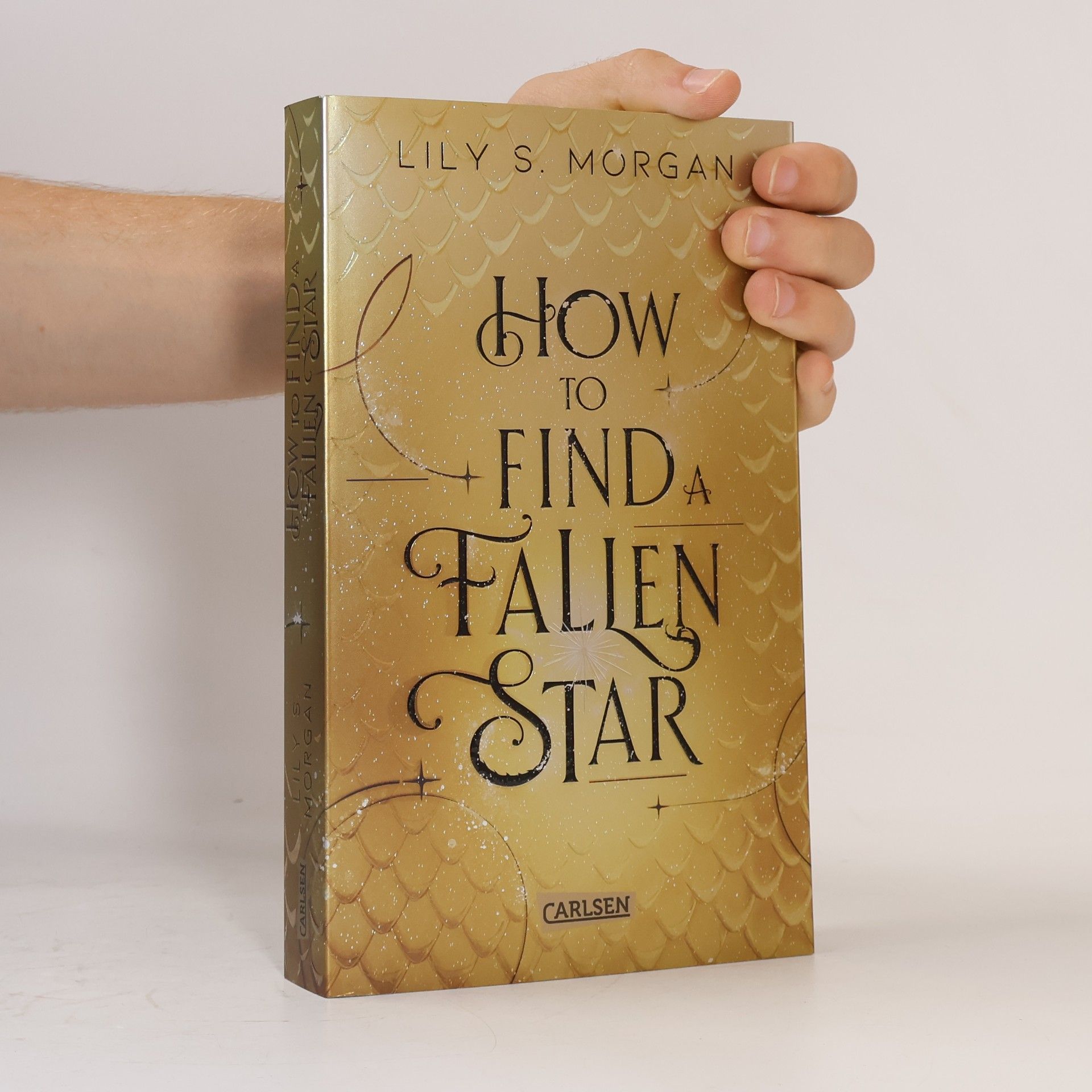 Lilly S. Morgan How To Find A Fallen Star / New York Magics Bd.2