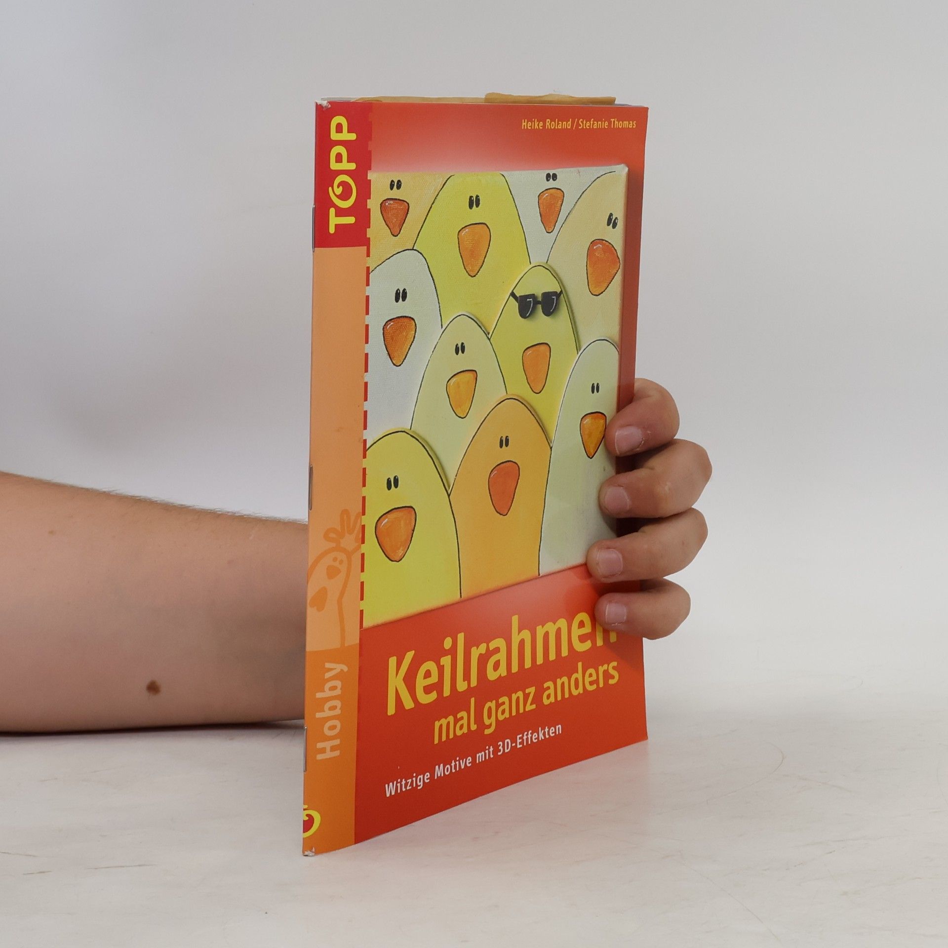 Heike Roland Keilrahmen mal ganz anders