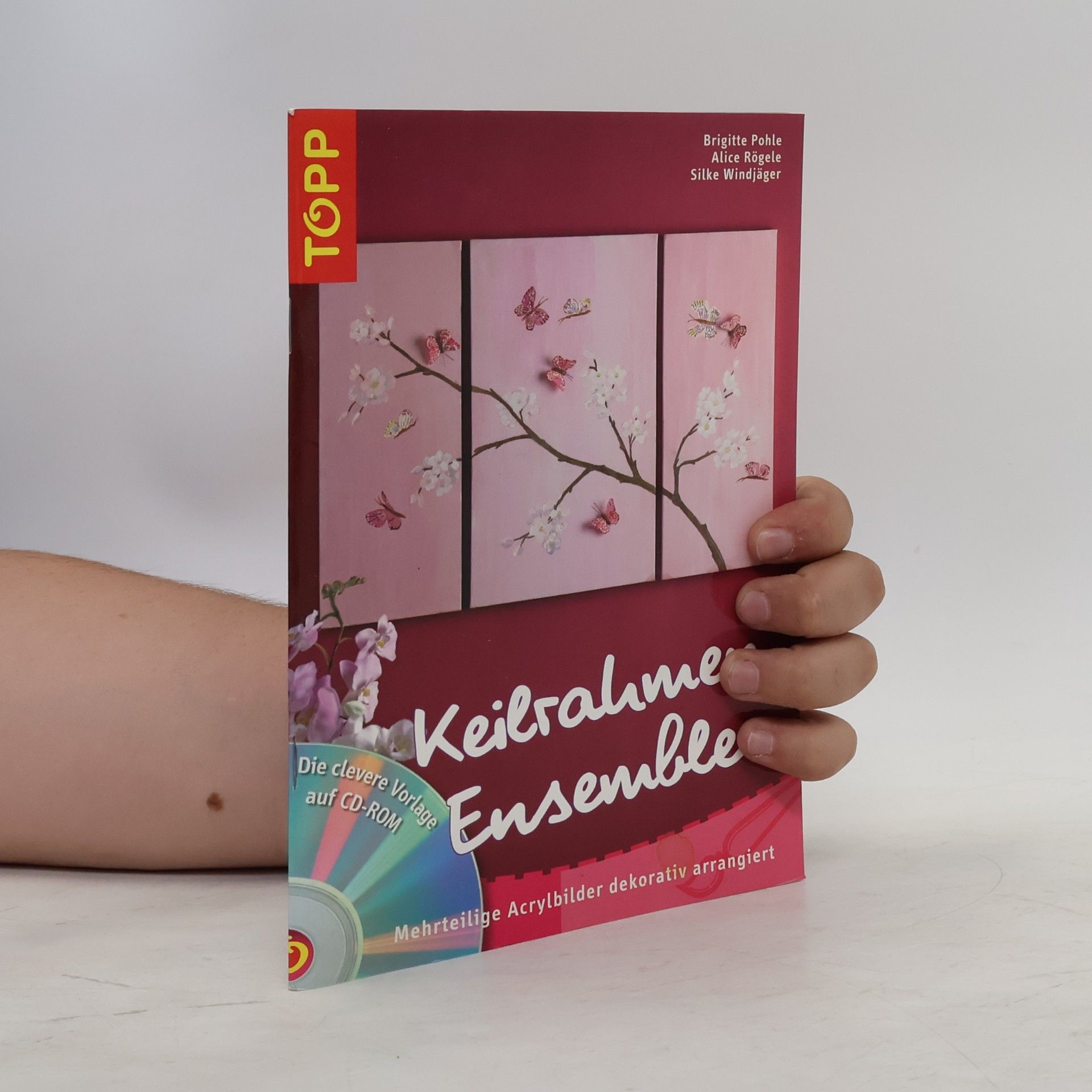 Brigitte Pohle Keilrahmen-Ensembles